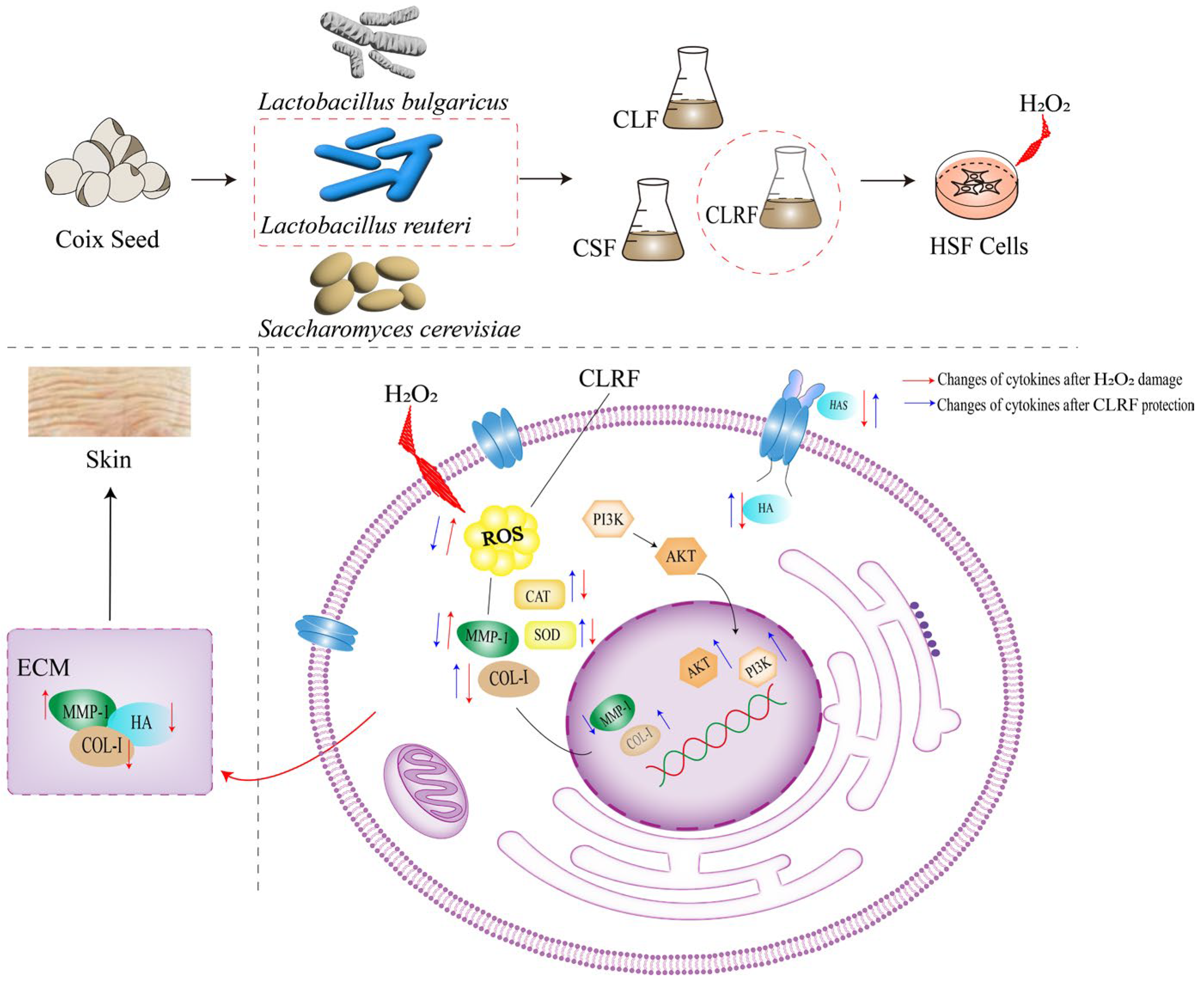 Applsci 13 00540 g006