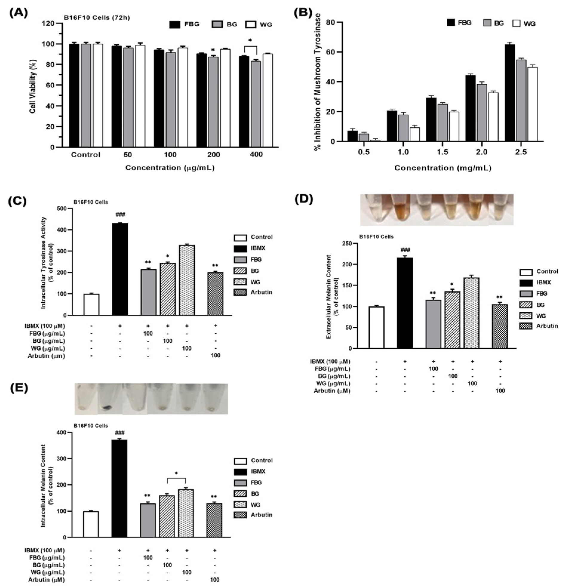 Applsci 13 00550 g001