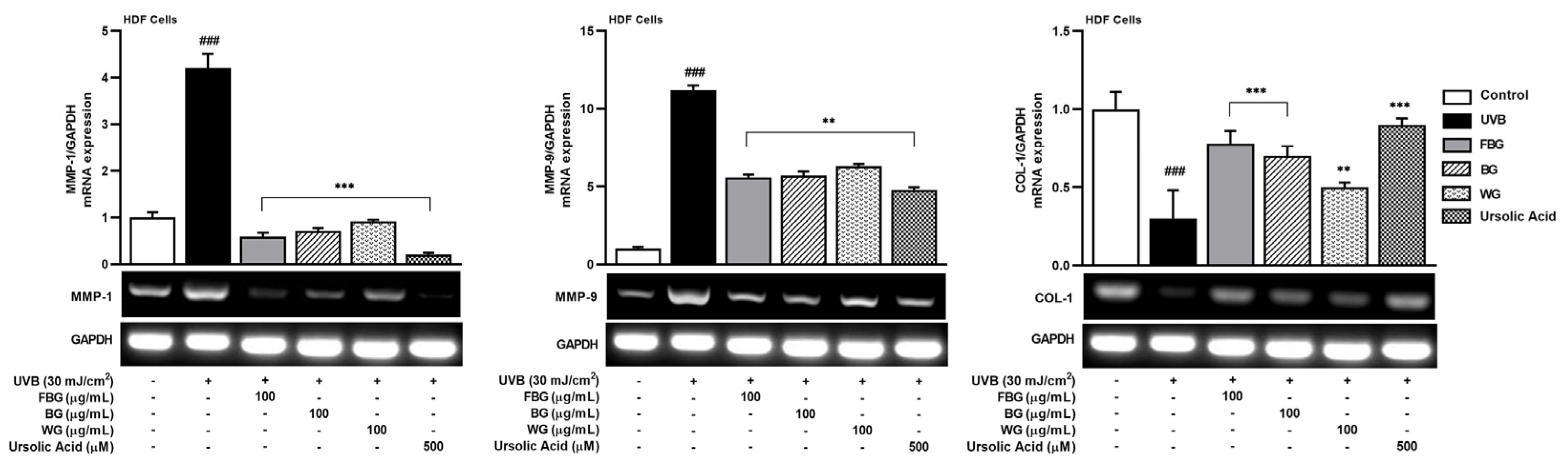 Applsci 13 00550 g004