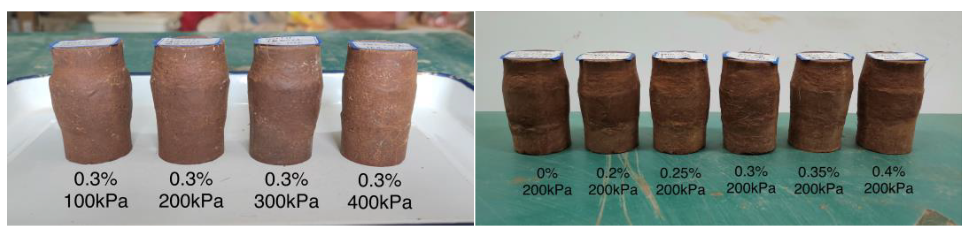 Applsci 13 00556 g009