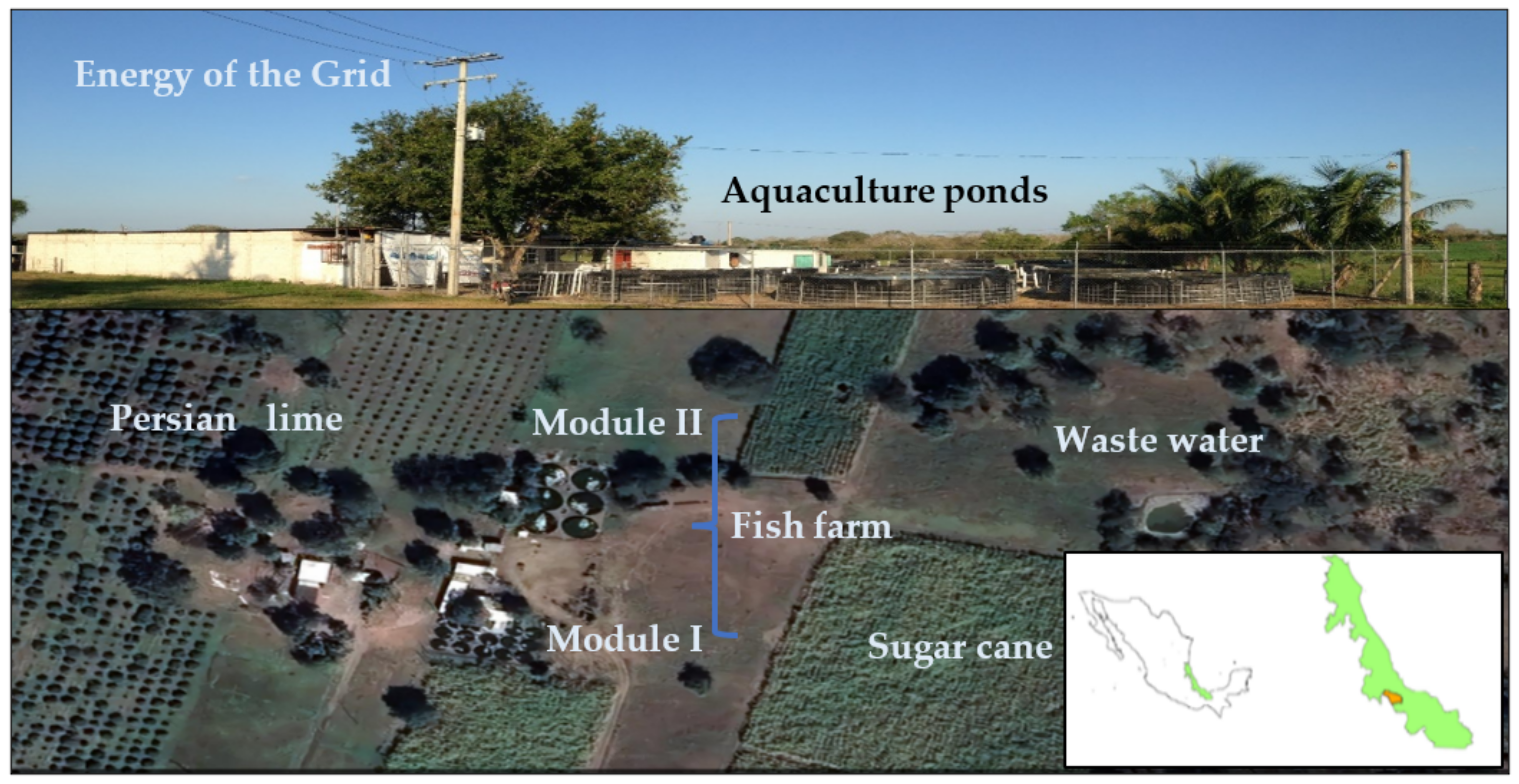 Applsci 13 00570 g006