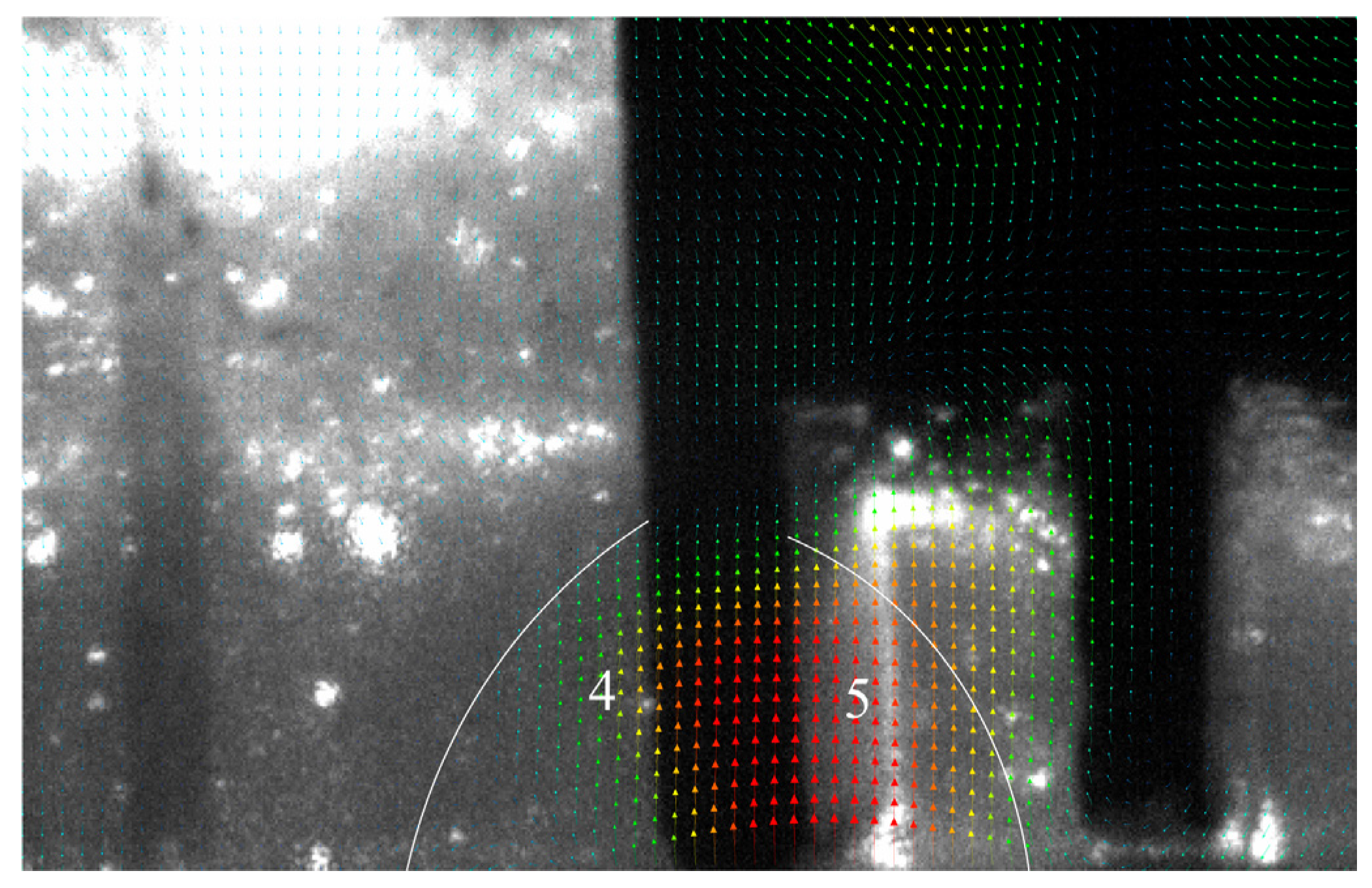 Applsci 13 00590 g013