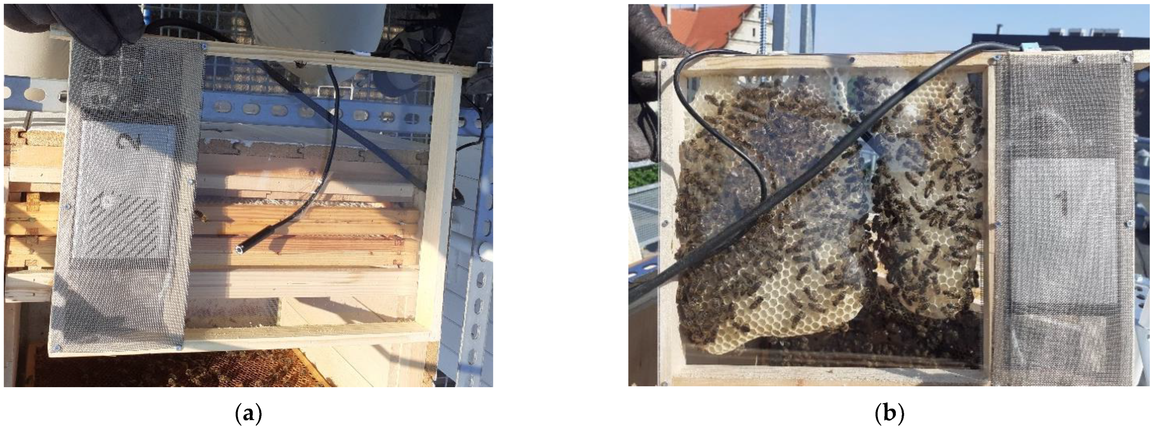 Applsci 13 00597 g005