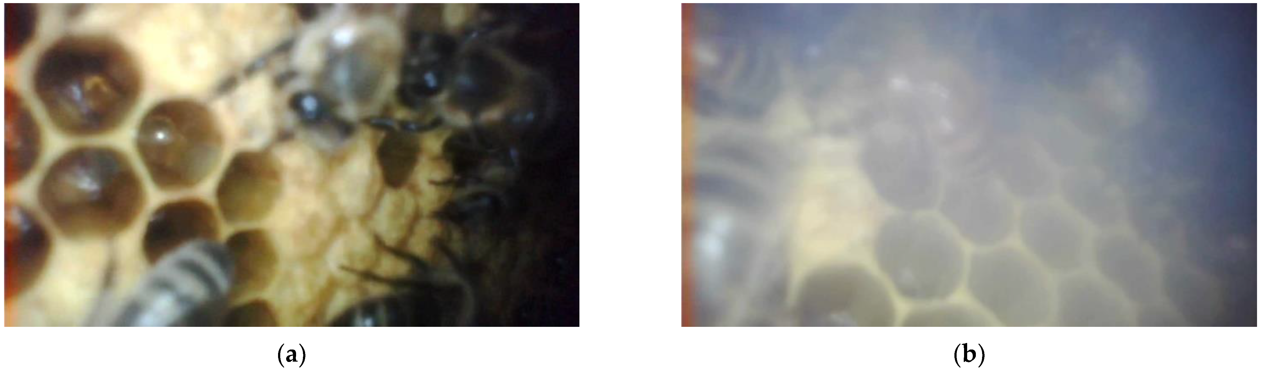 Applsci 13 00597 g010