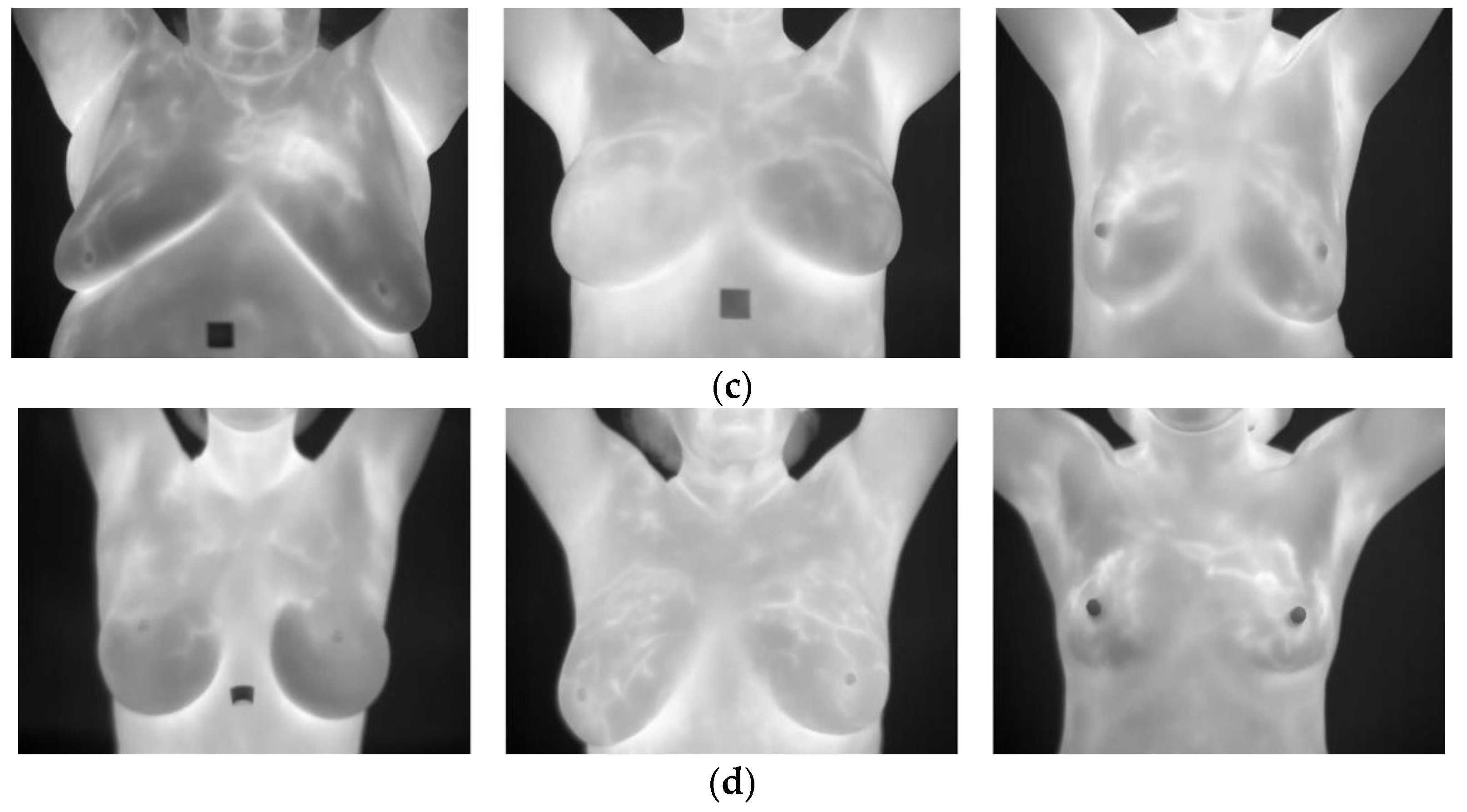 Applsci 13 00600 g004b