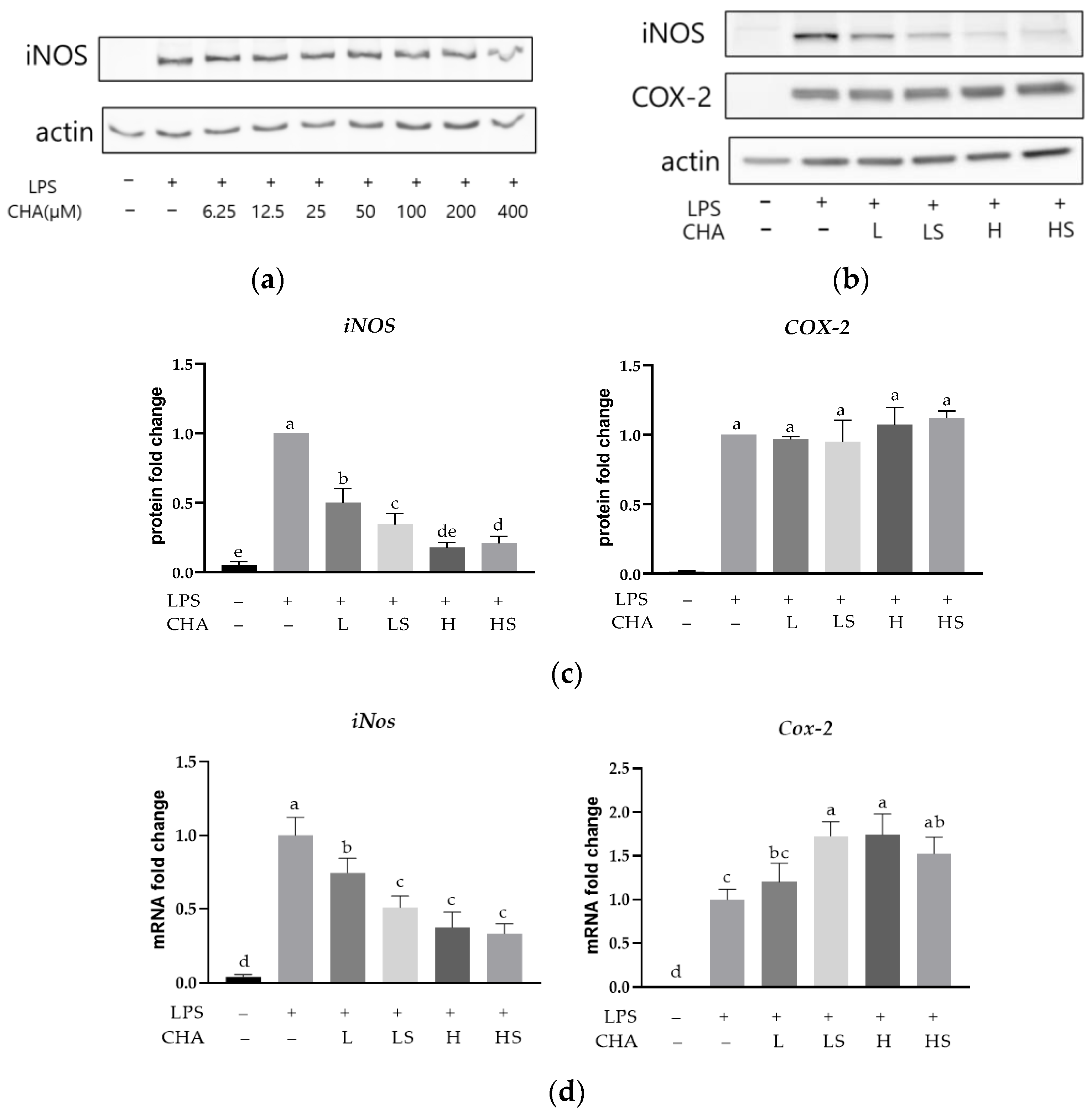 Applsci 13 00627 g002