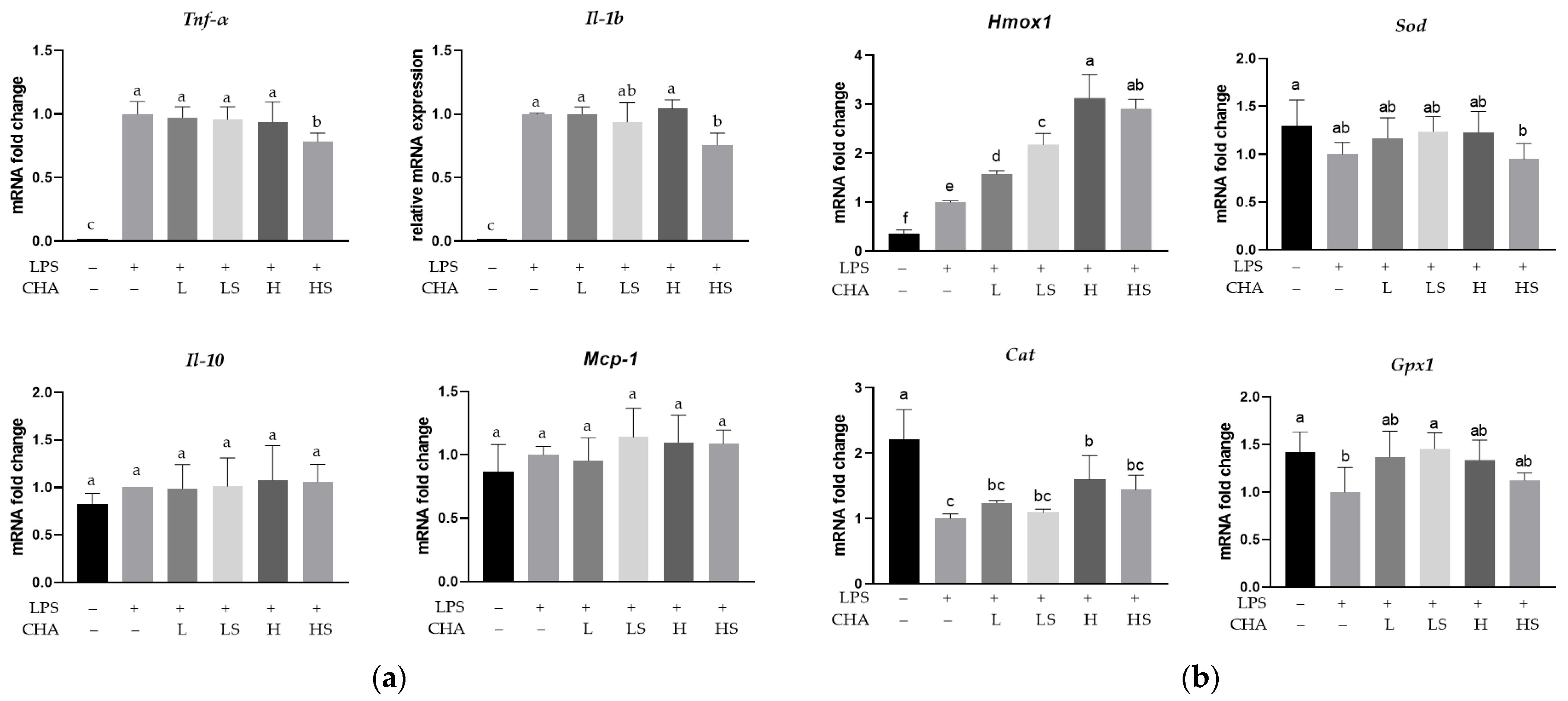 Applsci 13 00627 g004
