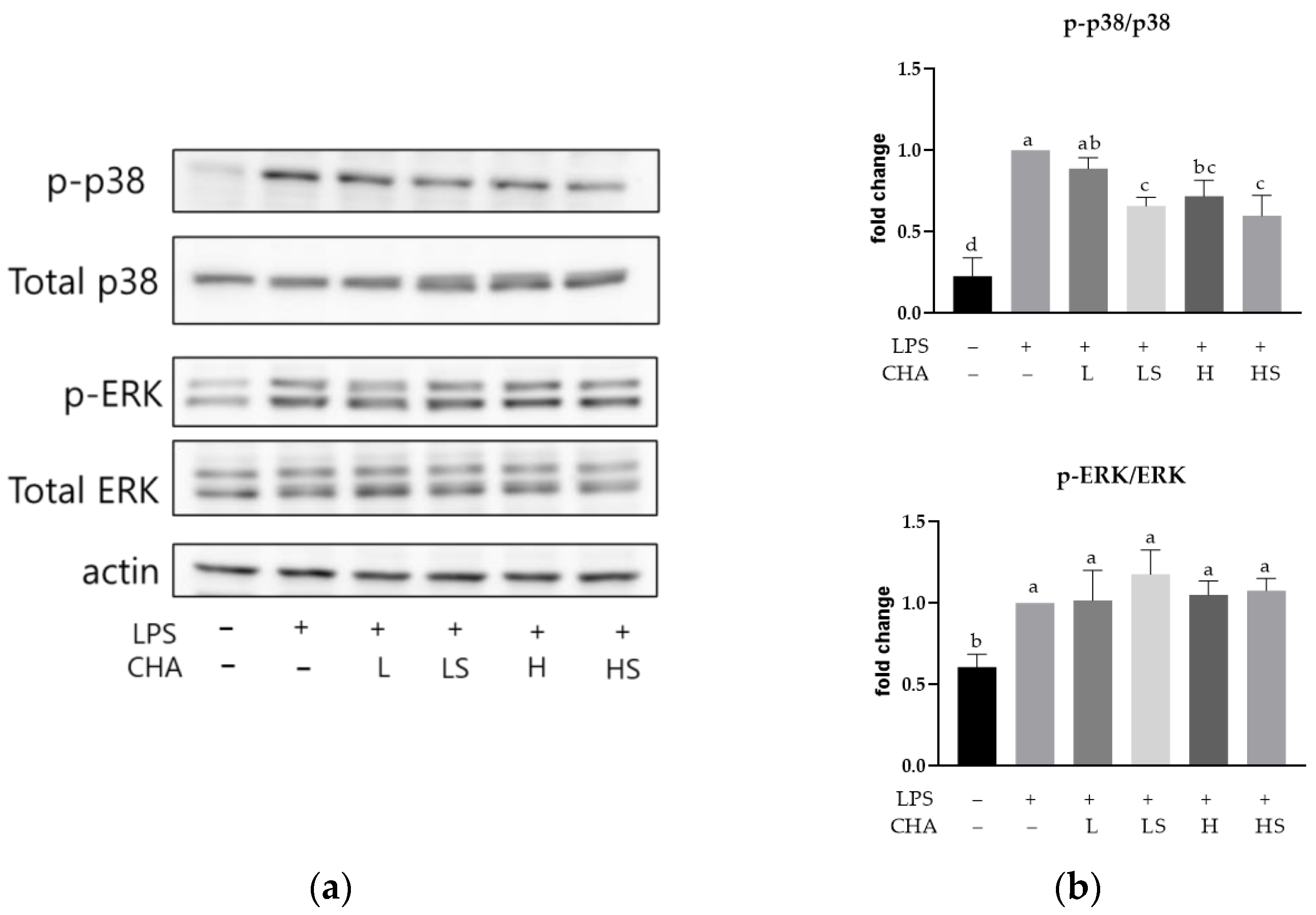 Applsci 13 00627 g005