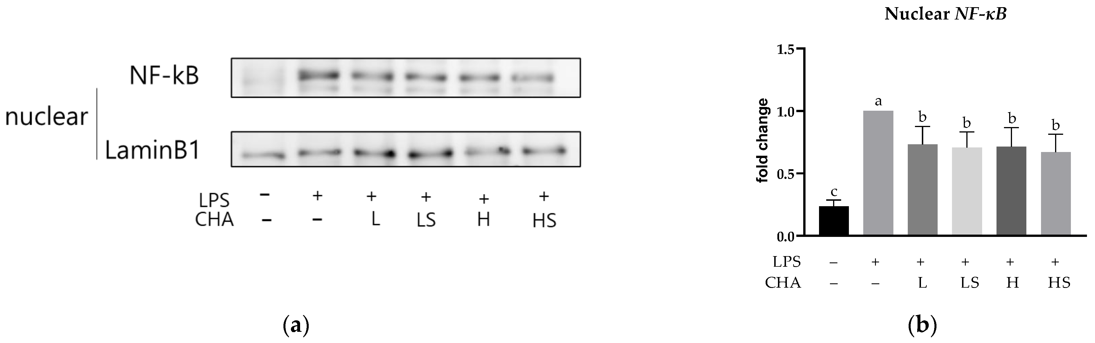 Applsci 13 00627 g006