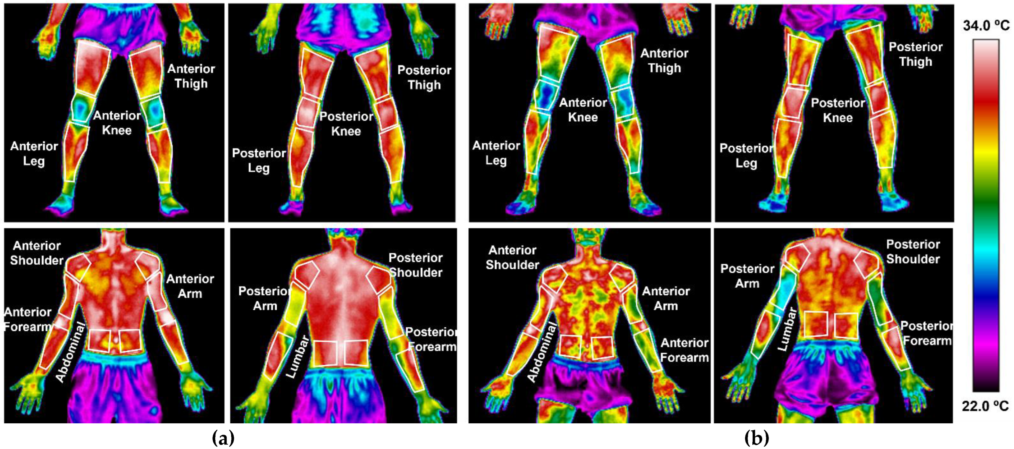 Applsci 13 00628 g003