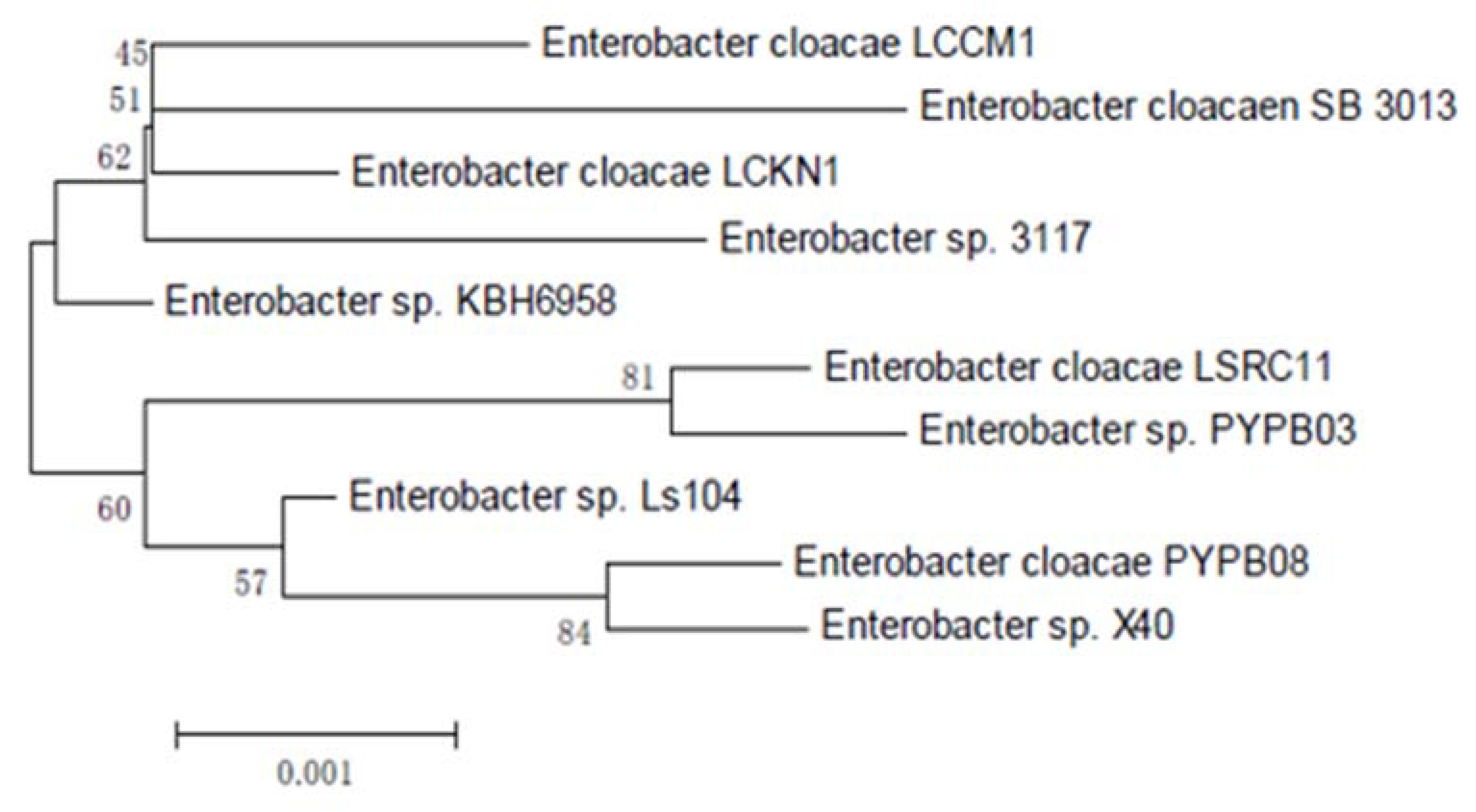 Applsci 13 00656 g002 Applsci 13 00656 g002