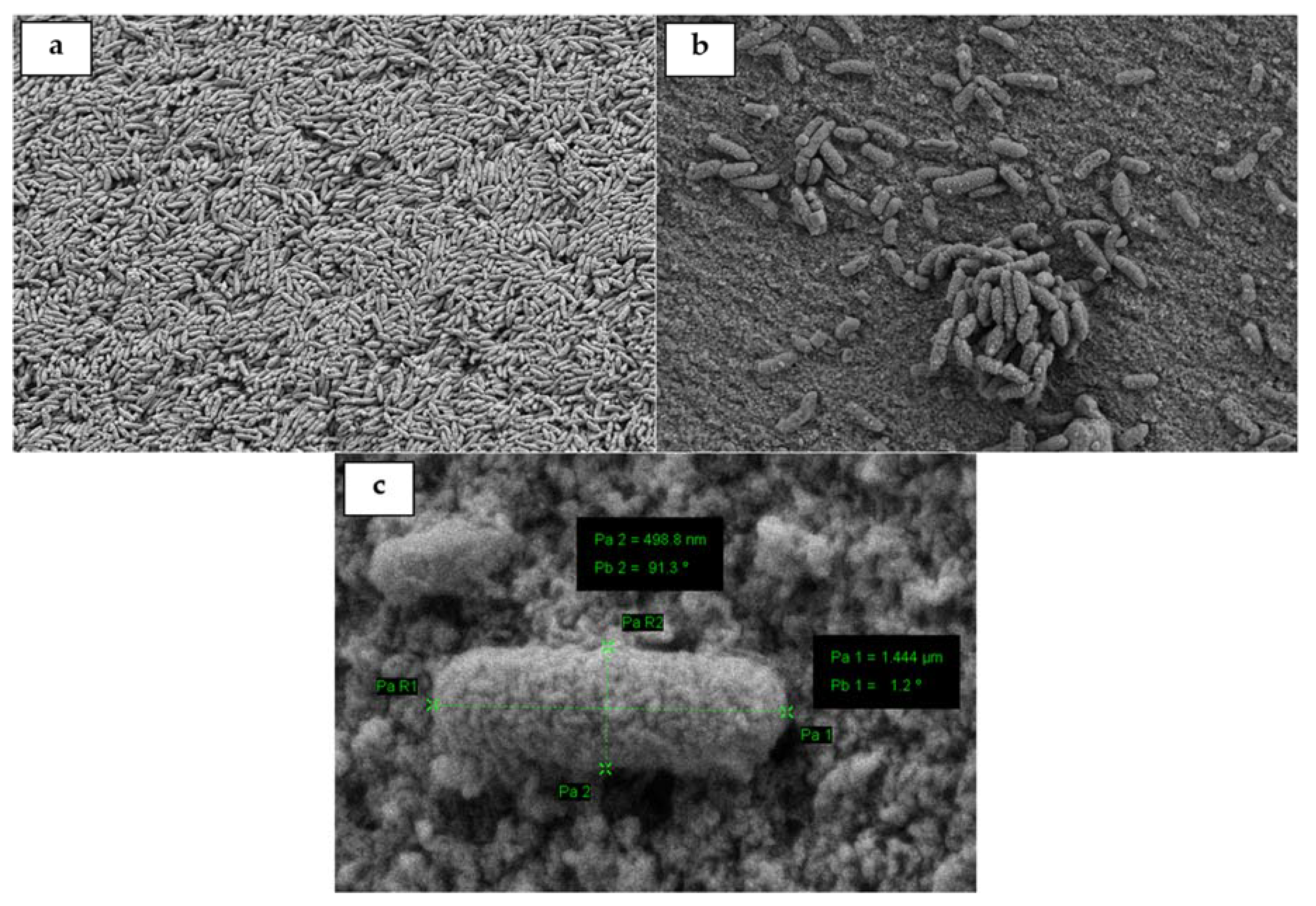 Applsci 13 00656 g003 Applsci 13 00656 g003