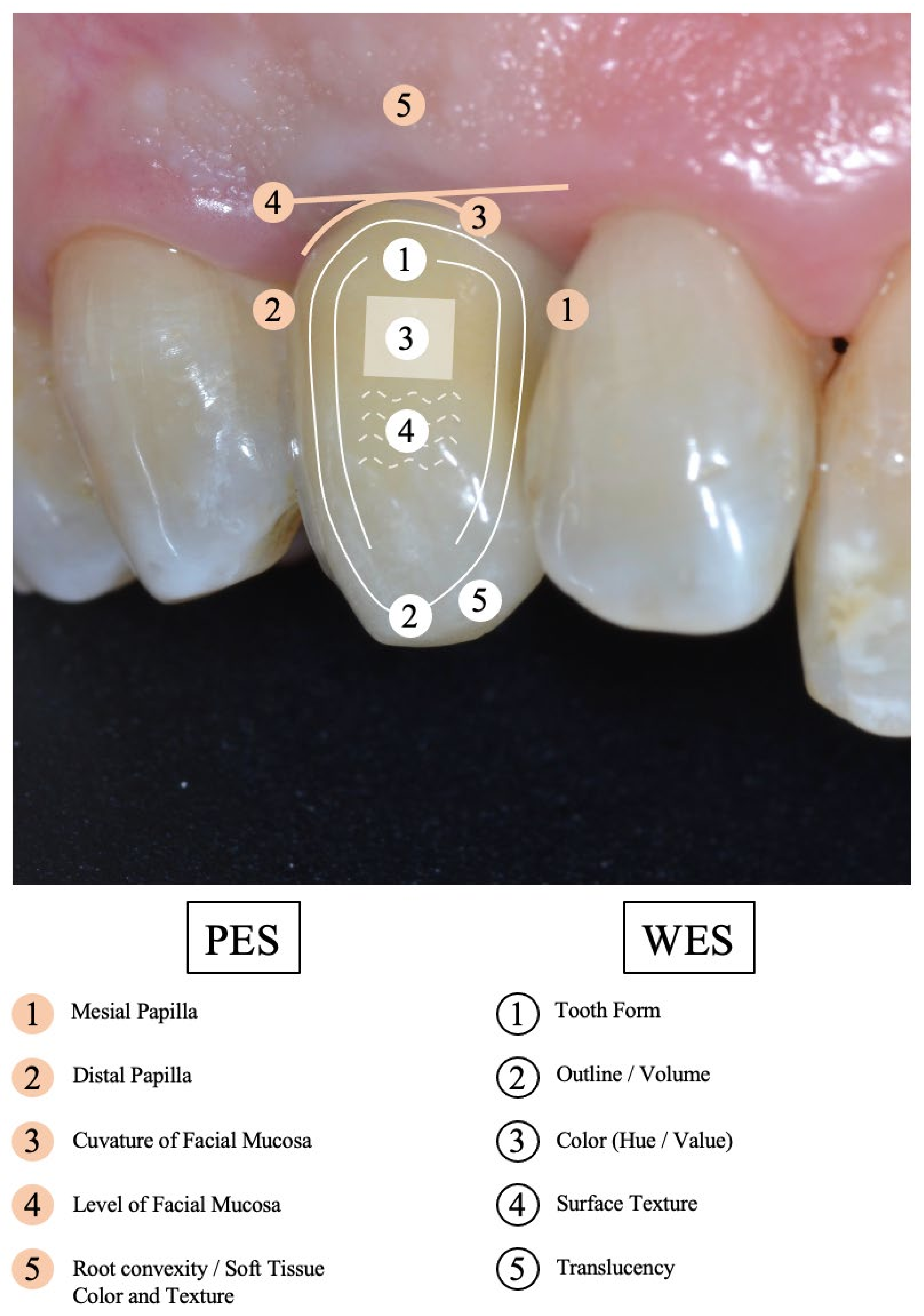Applsci 13 00661 g003
