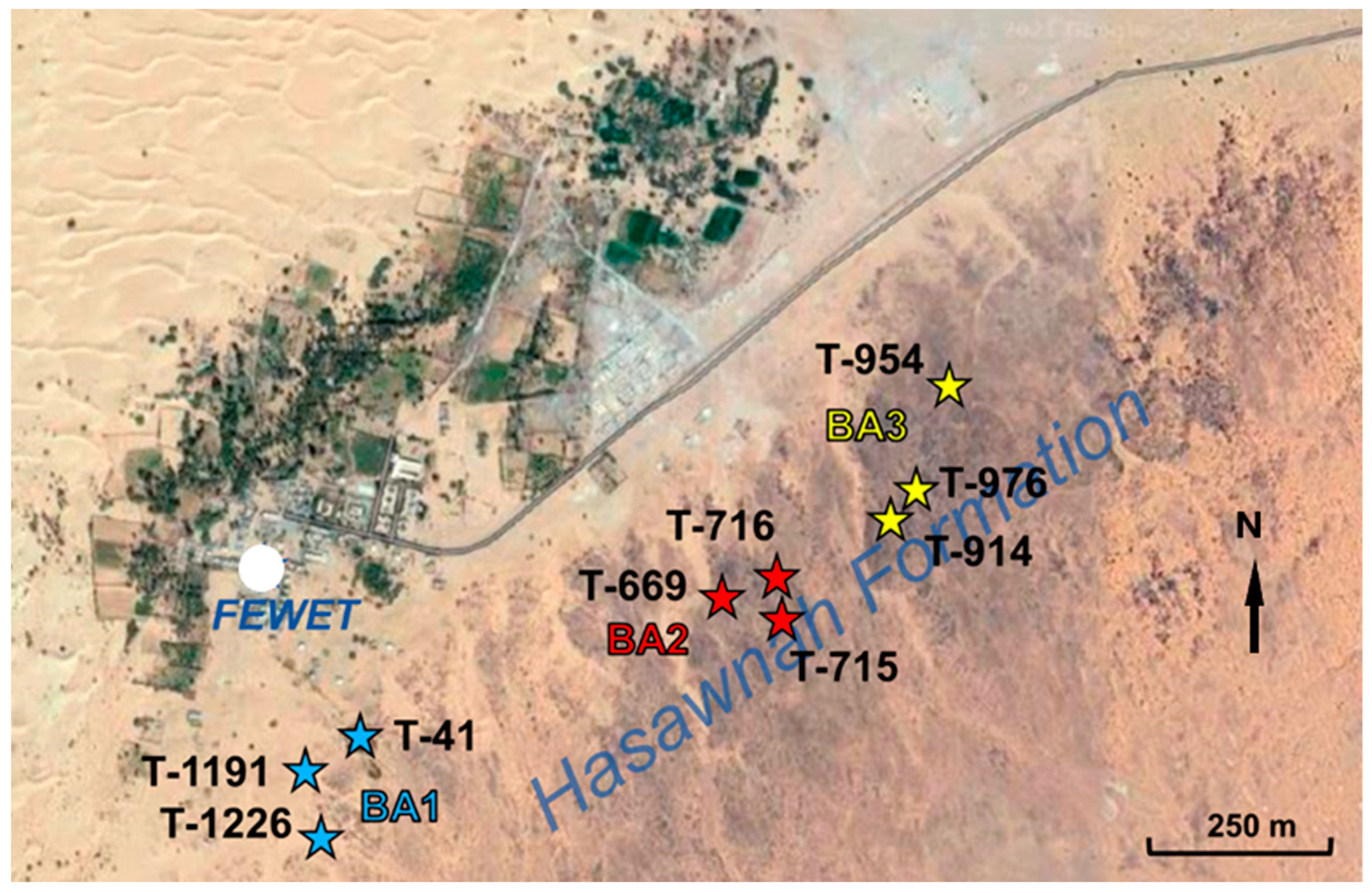 Applsci 13 00687 g001