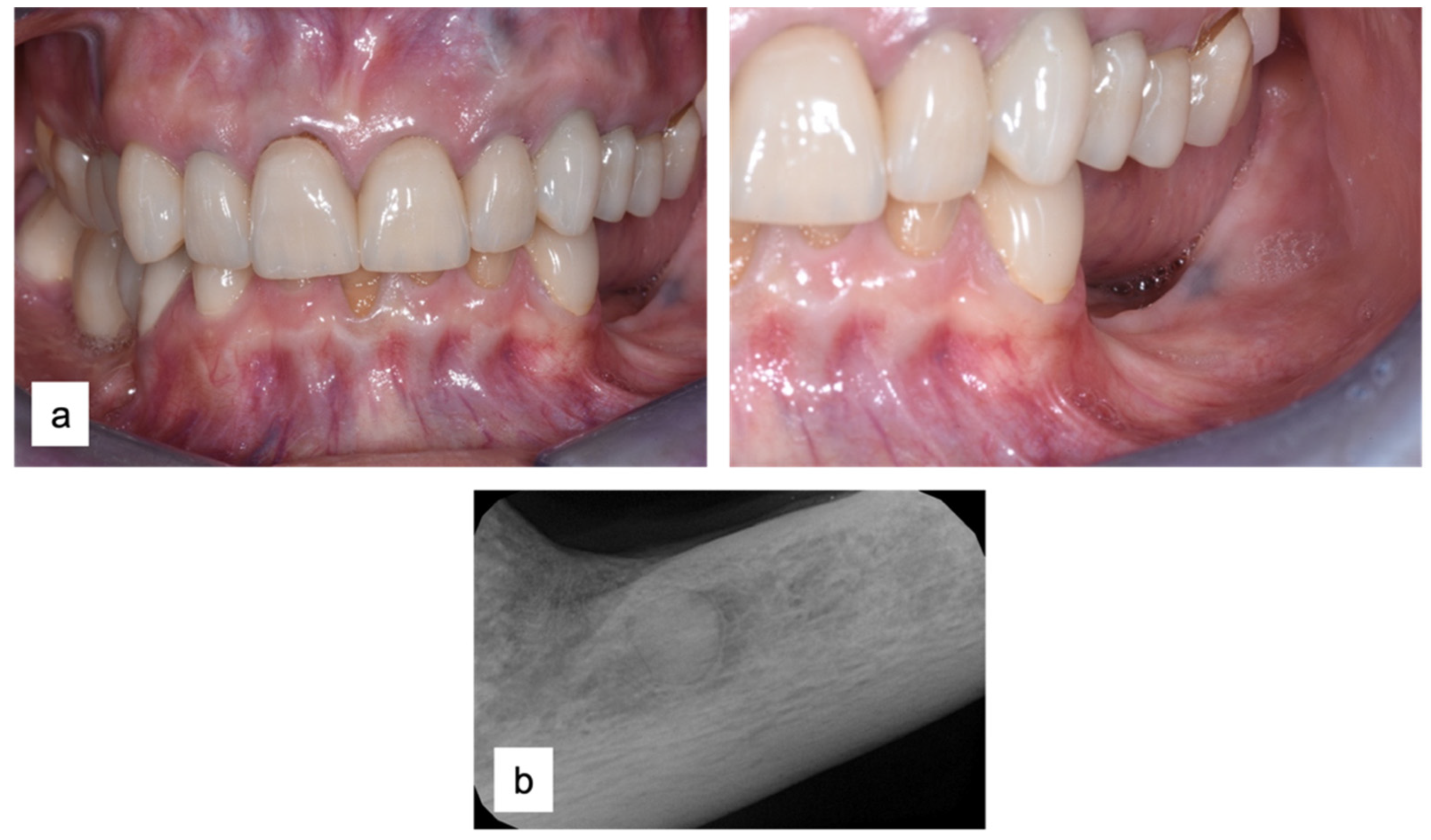 Applsci 13 00692 g002