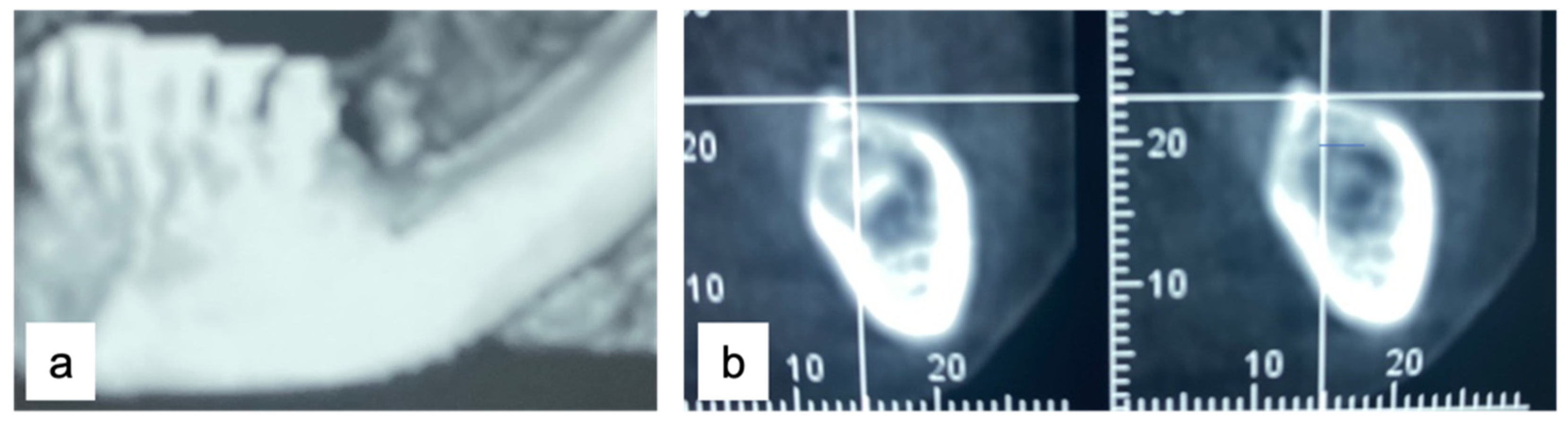 Applsci 13 00692 g003