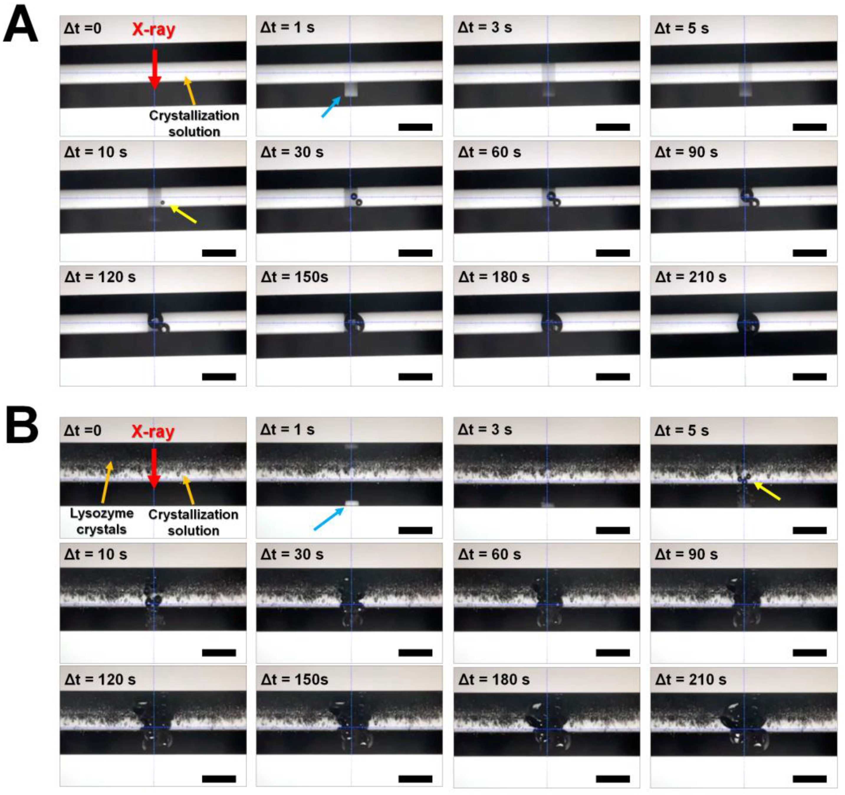 Applsci 13 00717 g001 Applsci 13 00717 g001