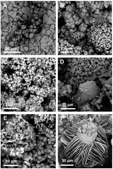 Applsci 13 00720 g0a2