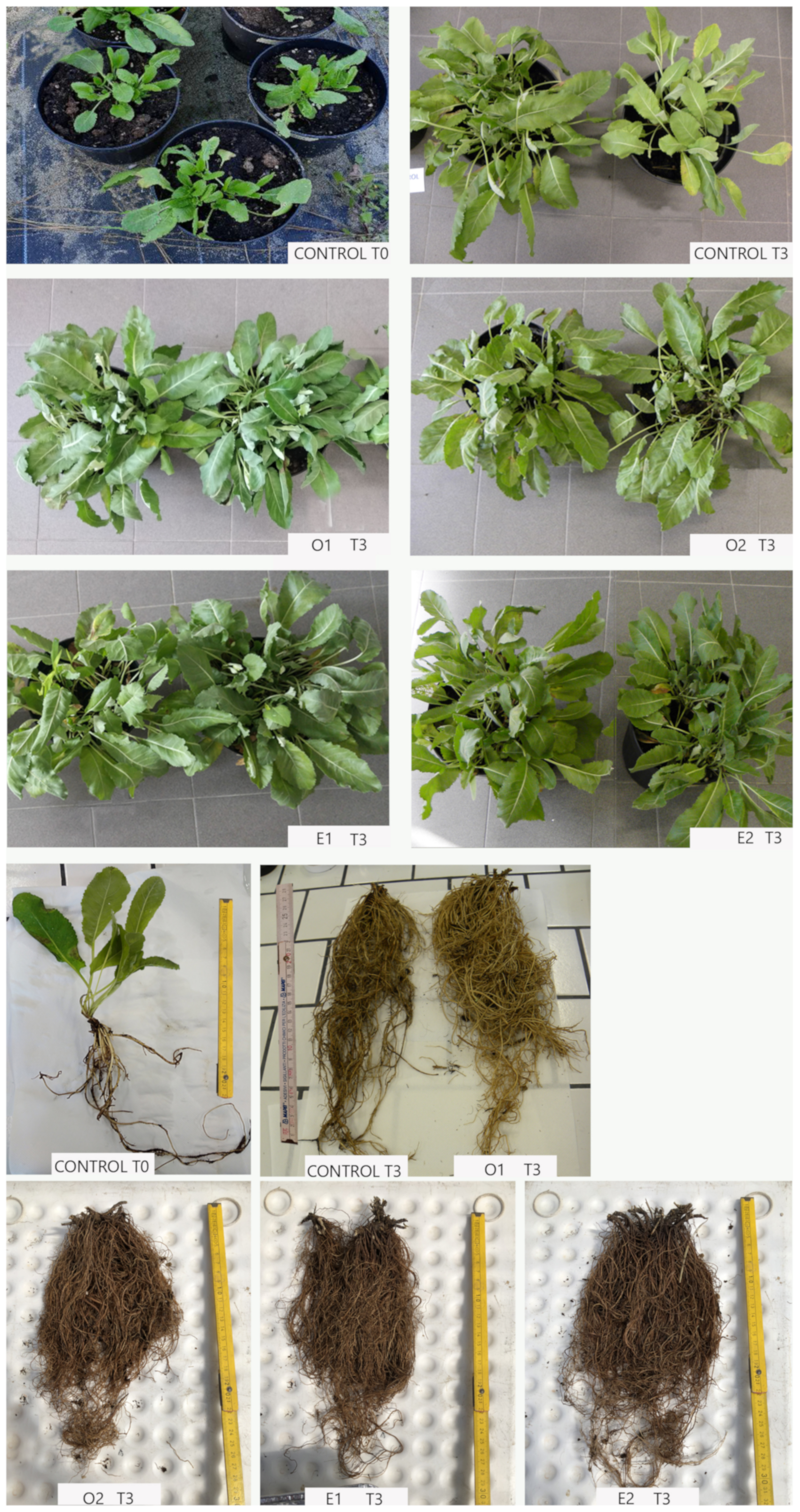 Applsci 13 00722 g003