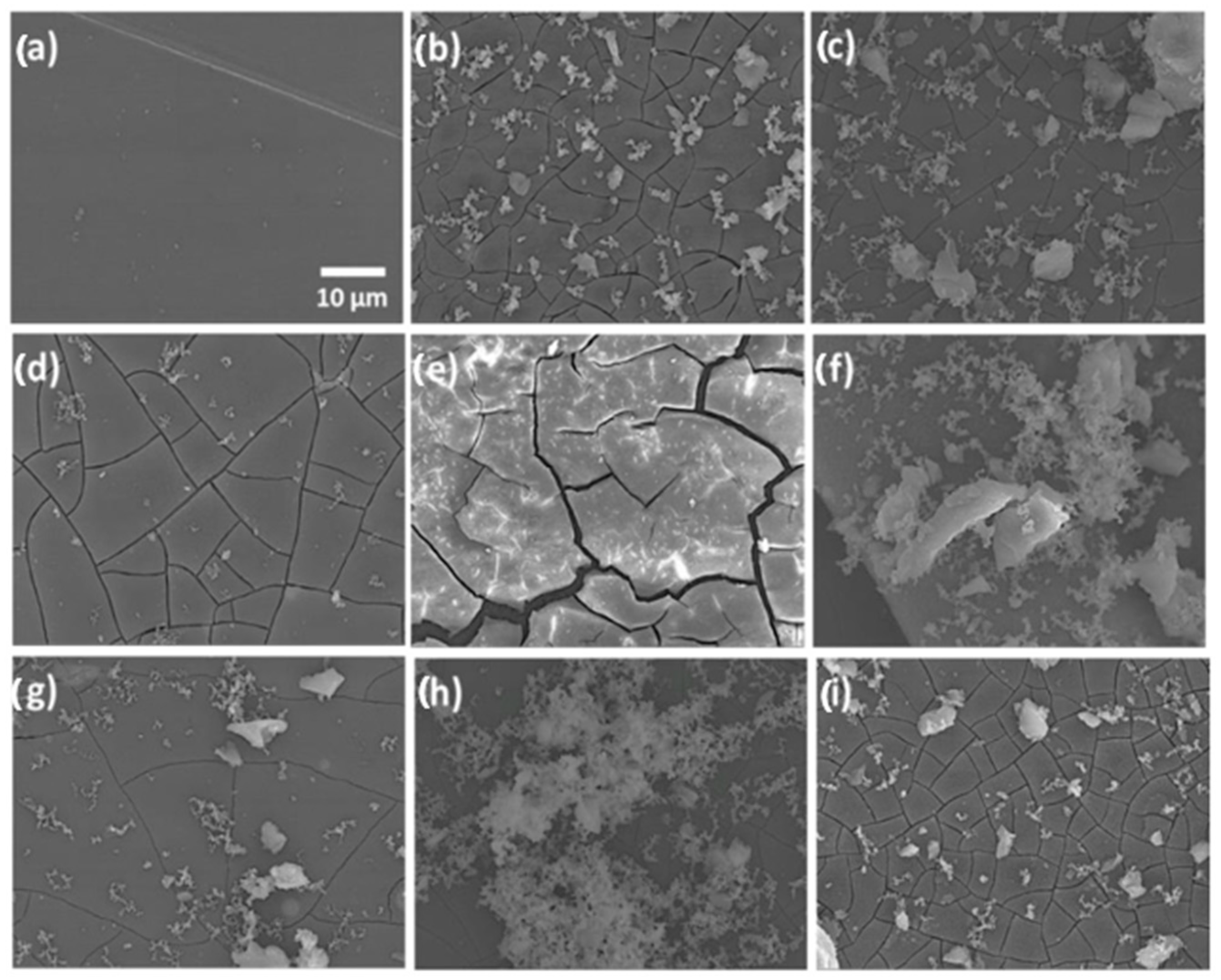 Applsci 13 00730 g003