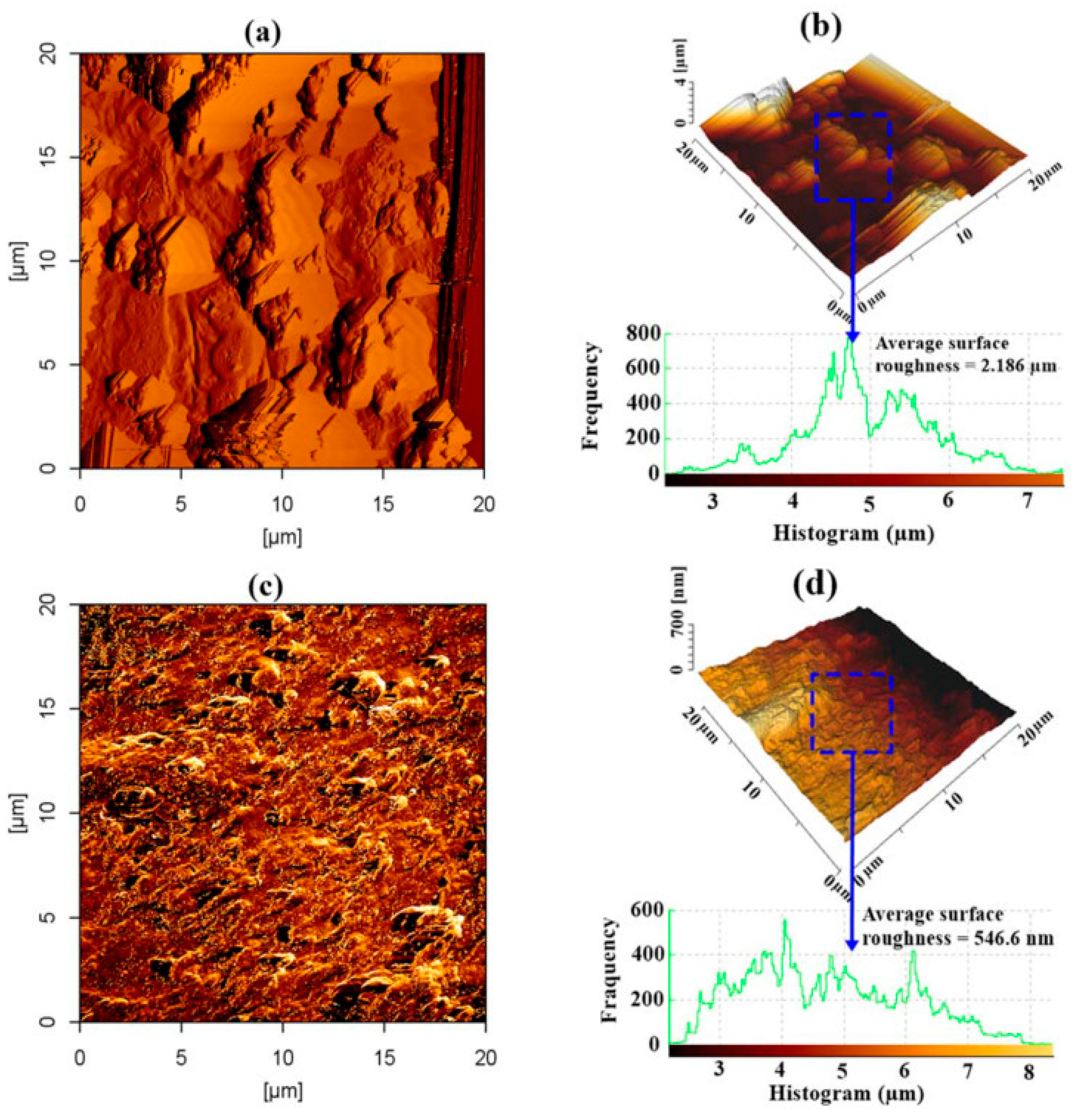 Applsci 13 00730 g013