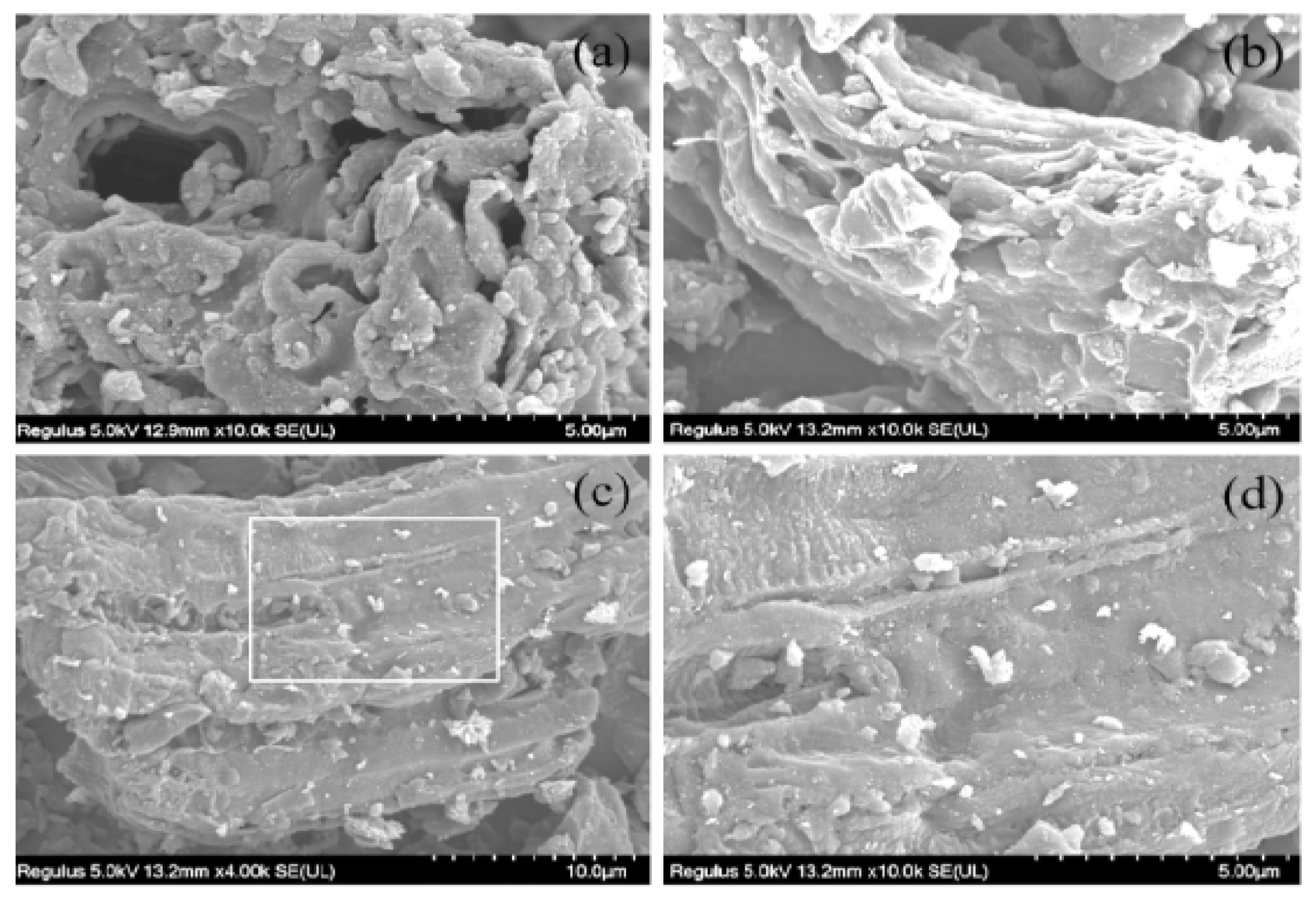 Applsci 13 00772 g005