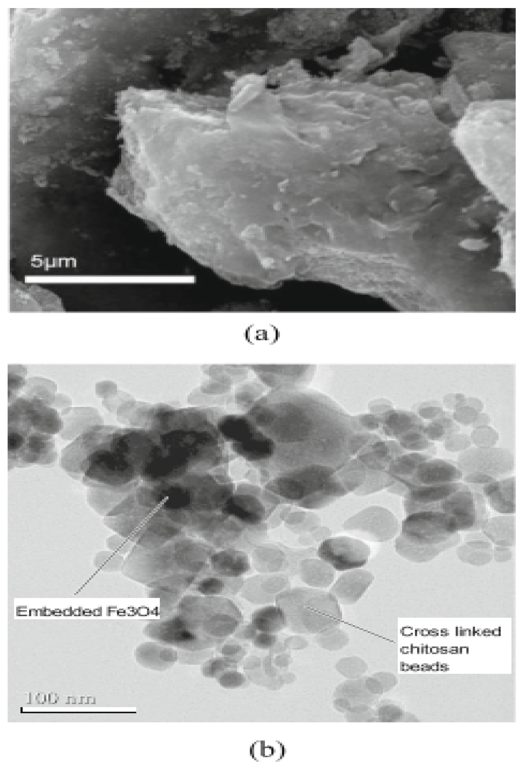 Applsci 13 00772 g006