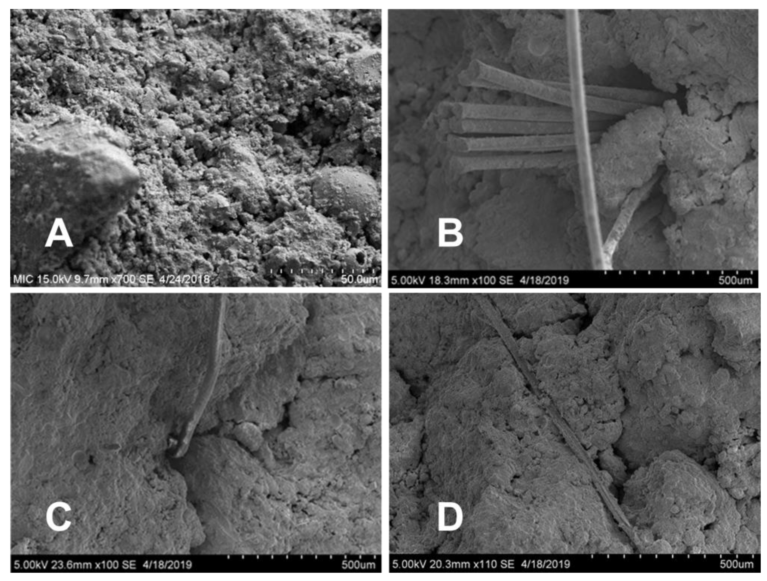 Applsci 13 00789 g002