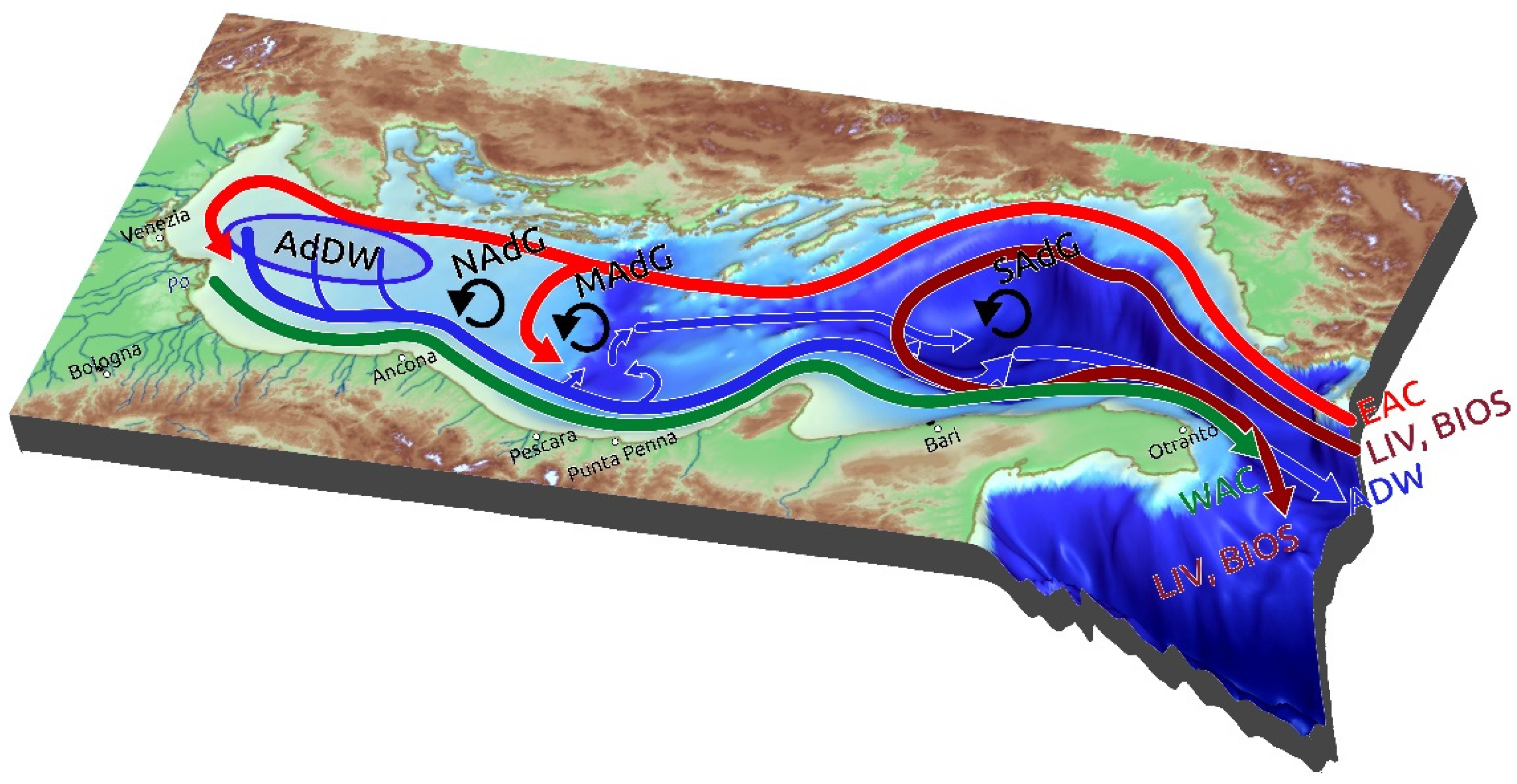 Applsci 13 00794 g001 Applsci 13 00794 g001