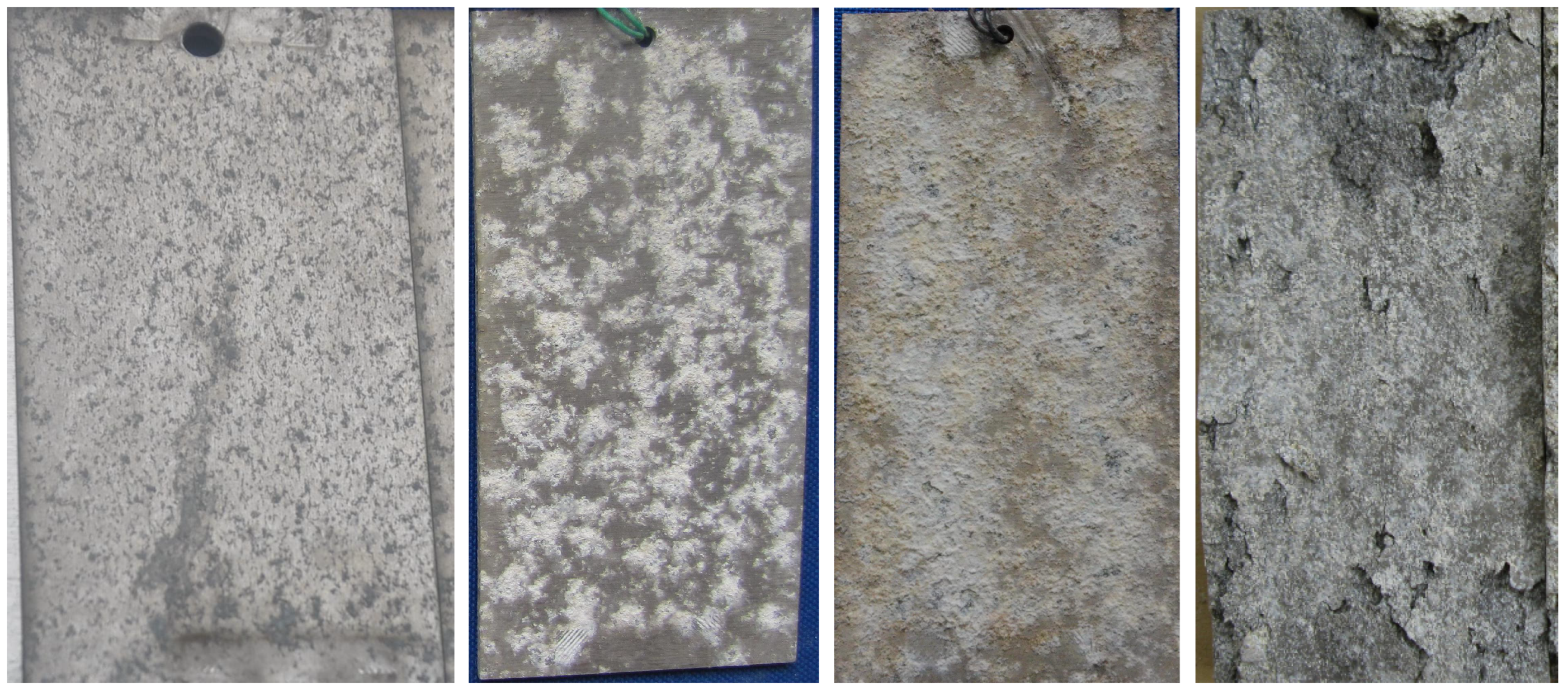 Applsci 13 00826 g006 Applsci 13 00826 g006