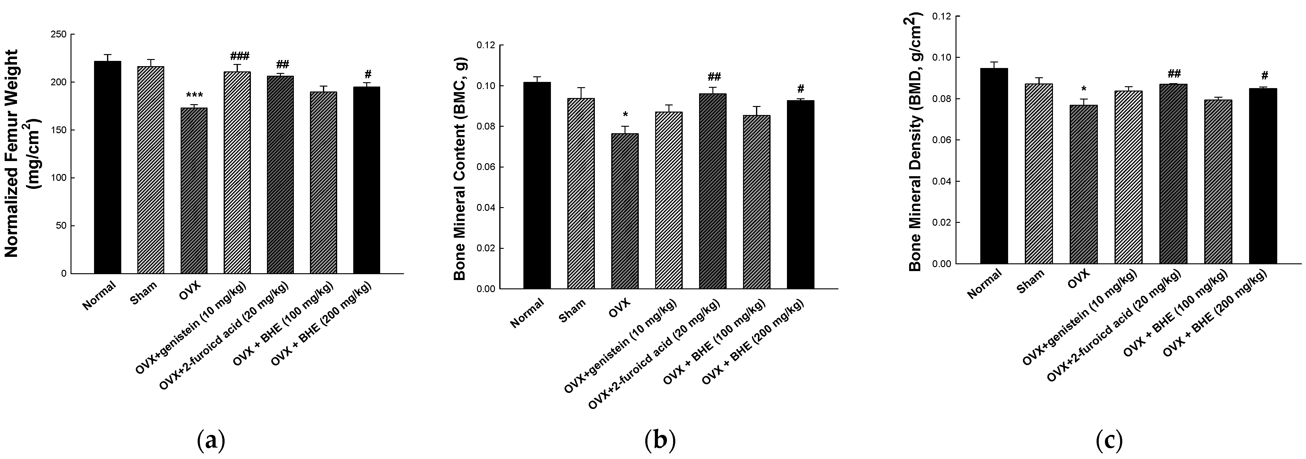 Applsci 13 00832 g001