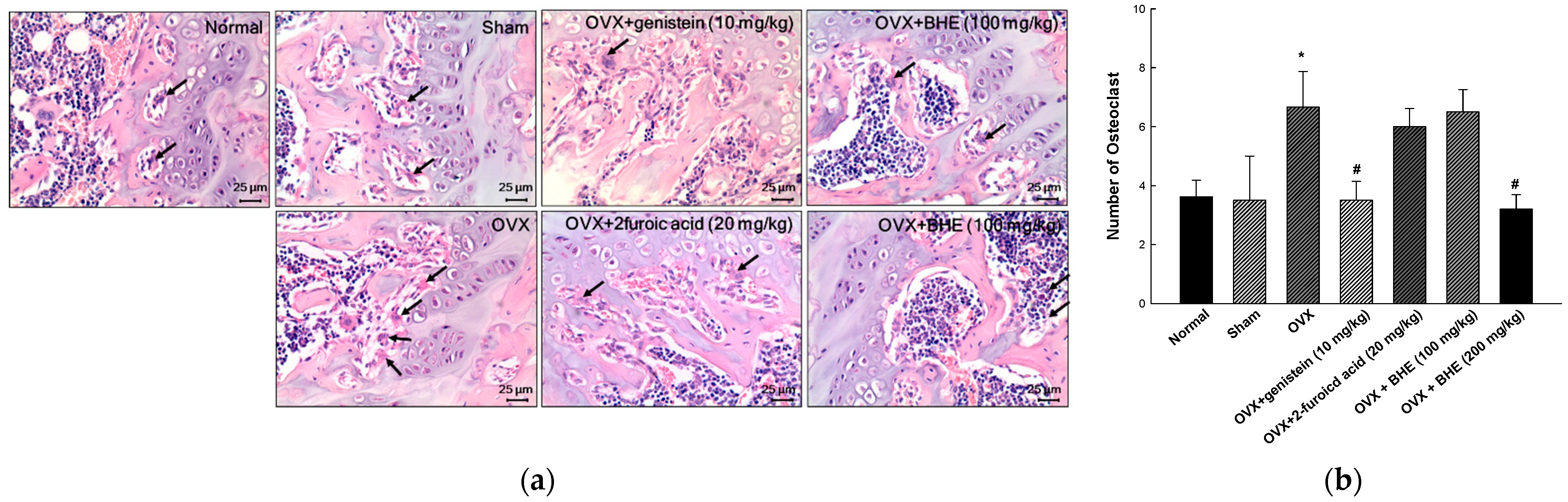 Applsci 13 00832 g002