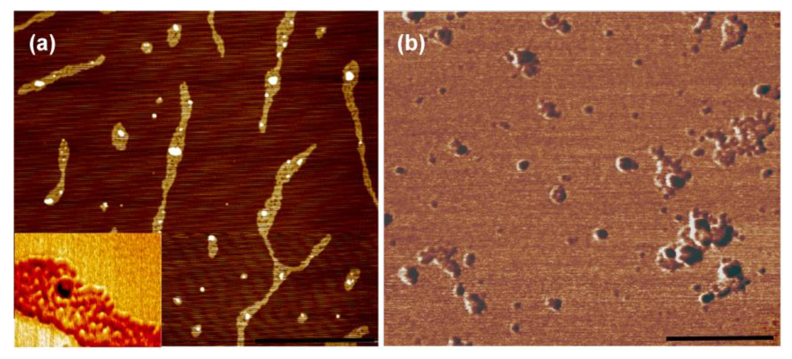 Applsci 13 00853 g008 Applsci 13 00853 g008