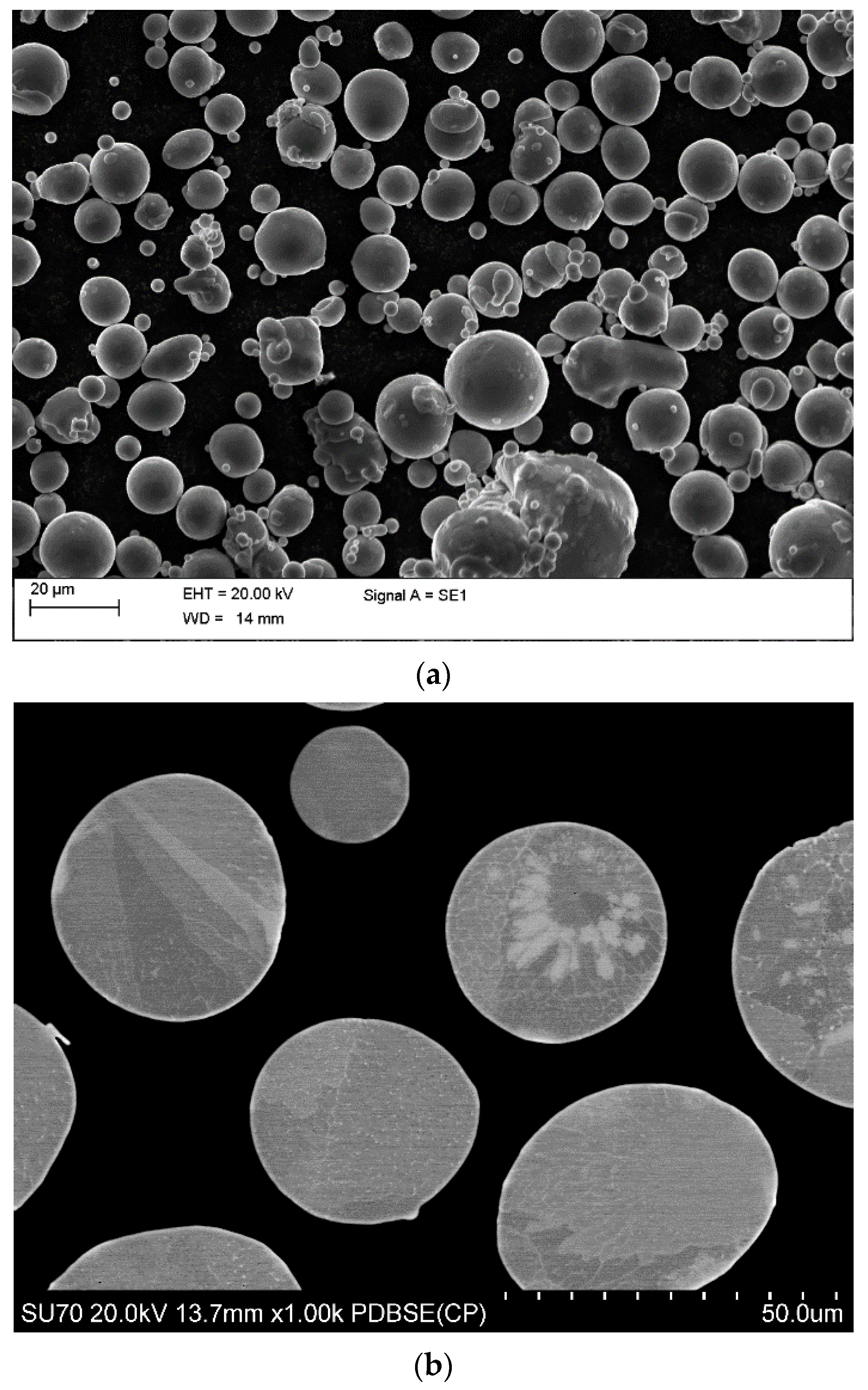 Applsci 13 00882 g001