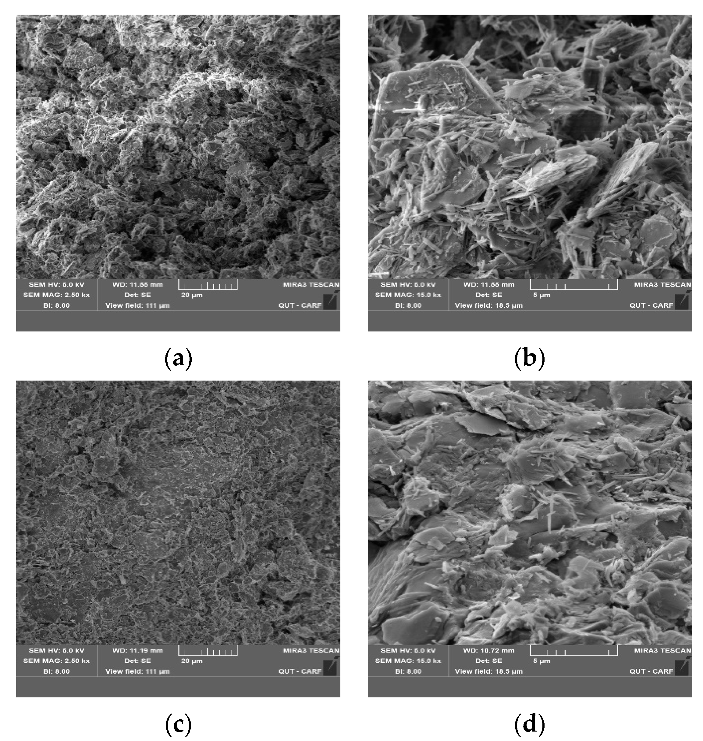 Applsci 13 00887 g011 Applsci 13 00887 g011