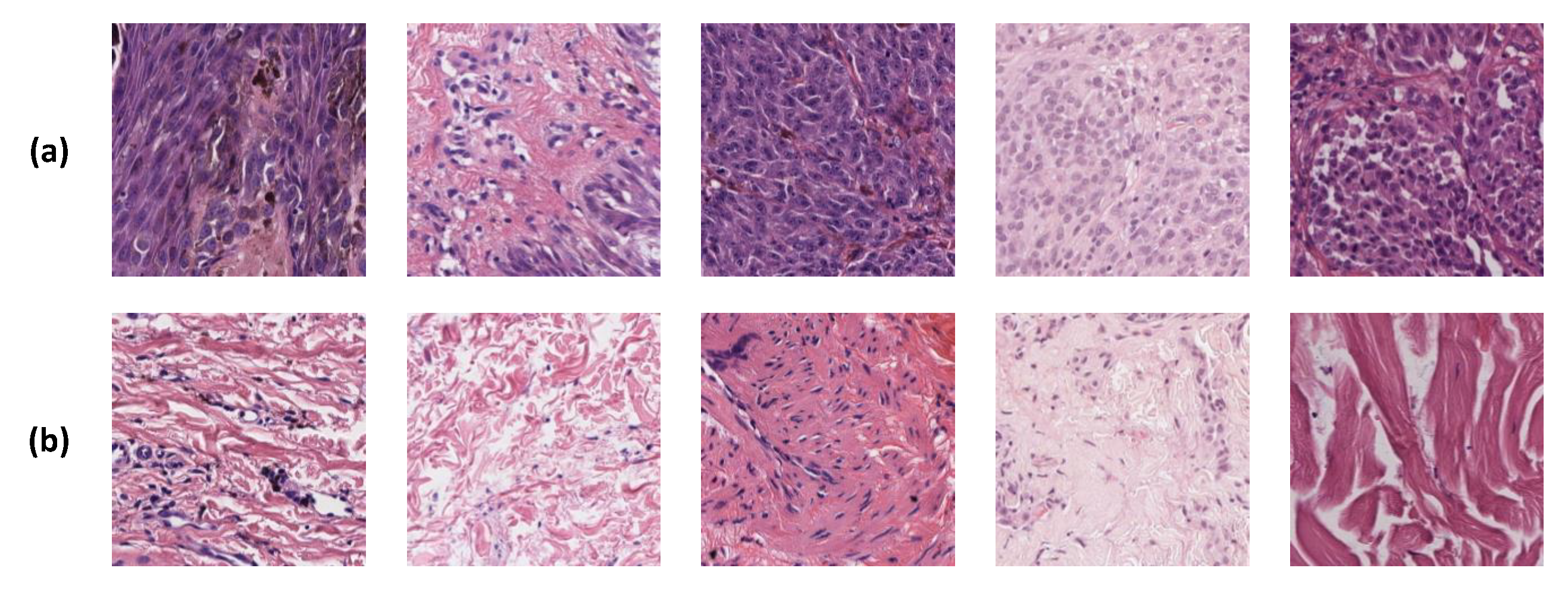 Applsci 13 00919 g002