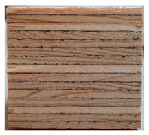 Applsci 13 00925 i001 Applsci 13 00925 i001