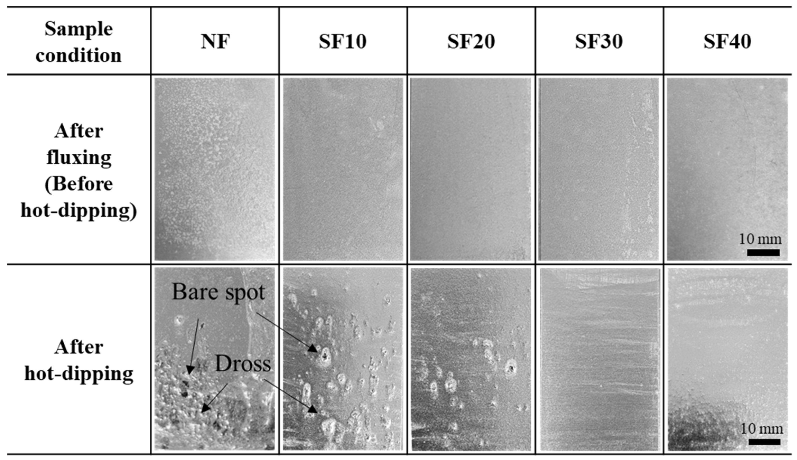 Applsci 13 00950 g001