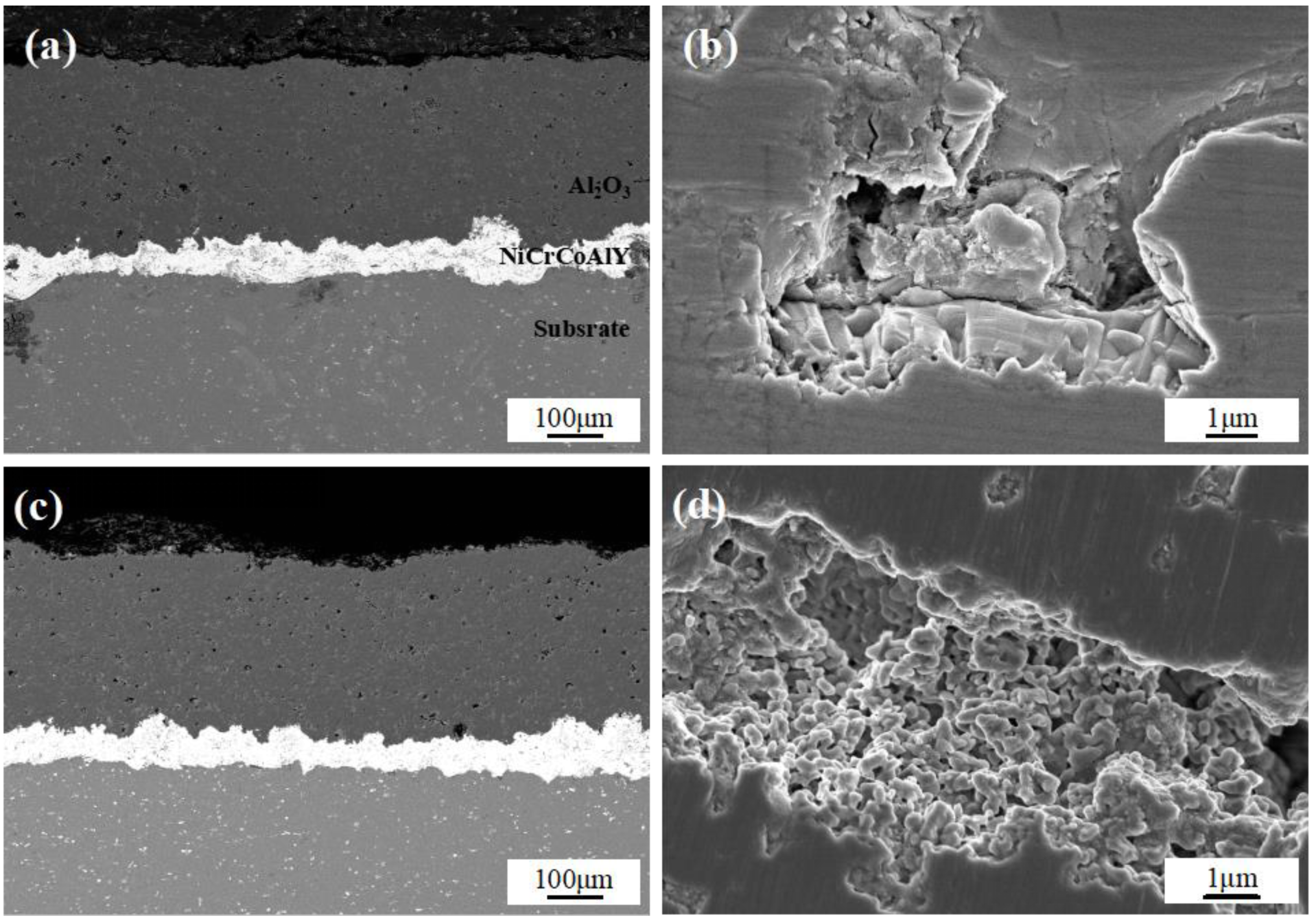 Applsci 13 00956 g007