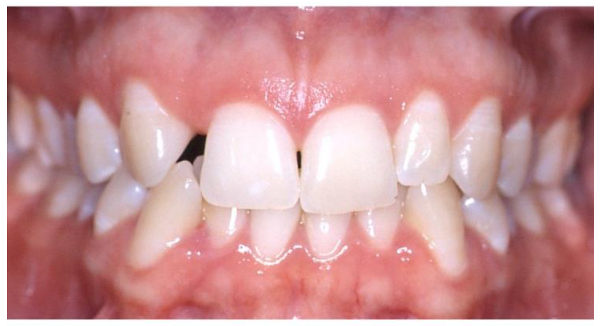 Applsci 13 00964 g001