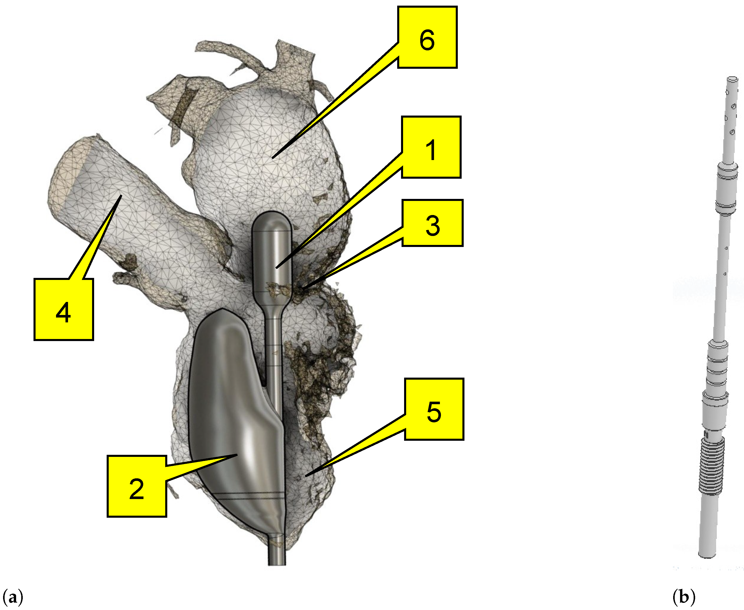 Applsci 13 00973 g001