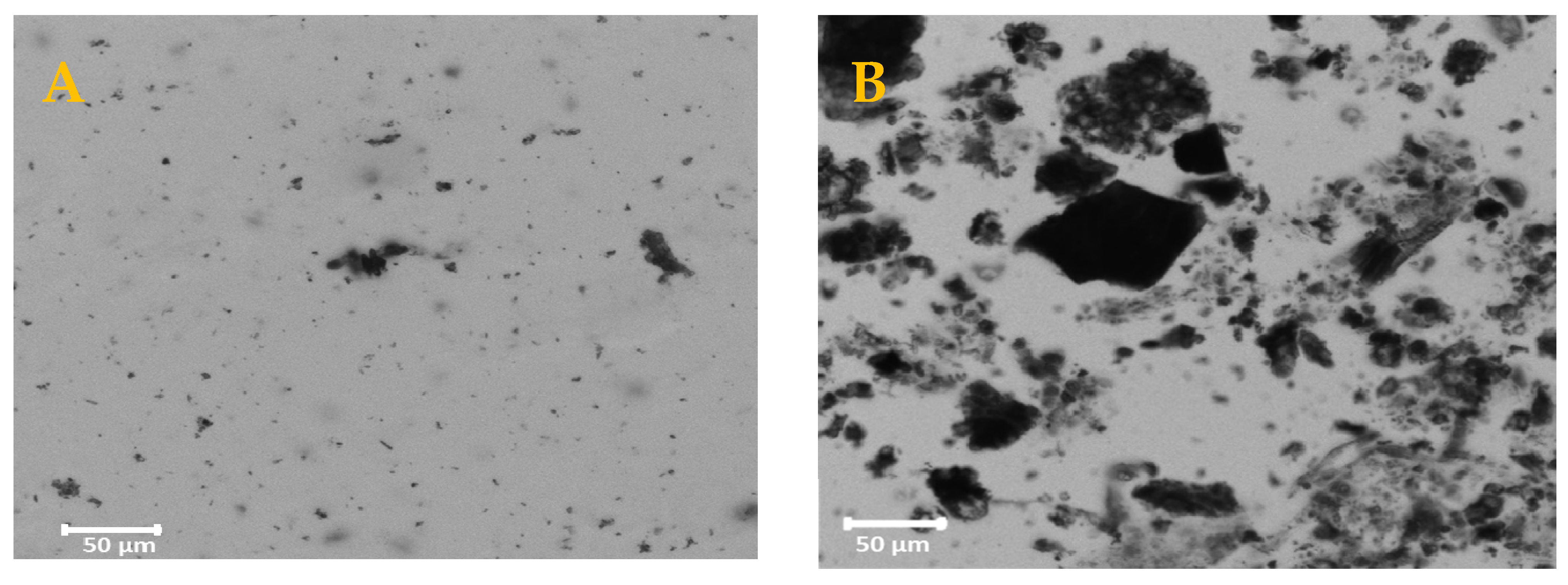 Applsci 13 00975 g002