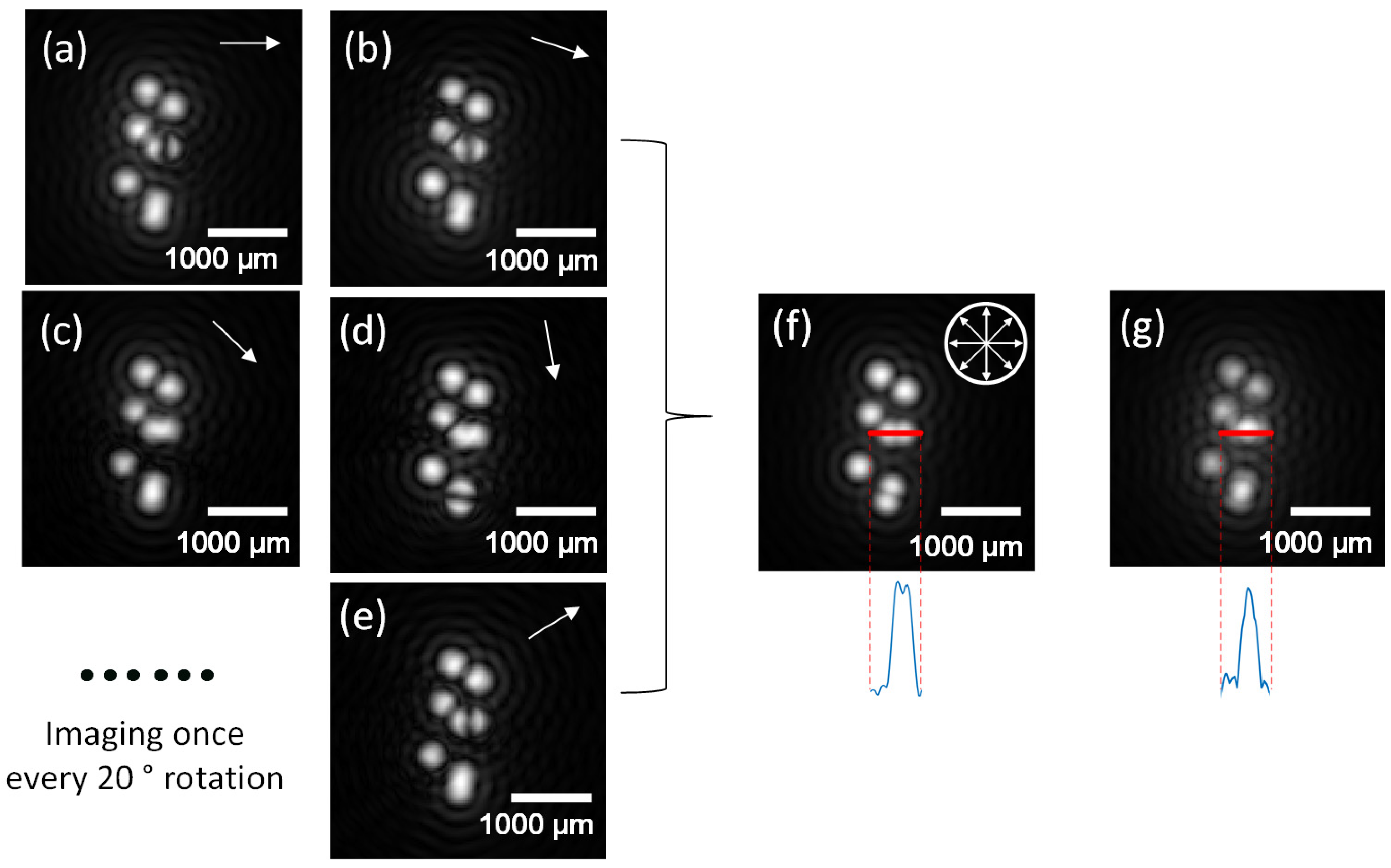 Applsci 13 00982 g004