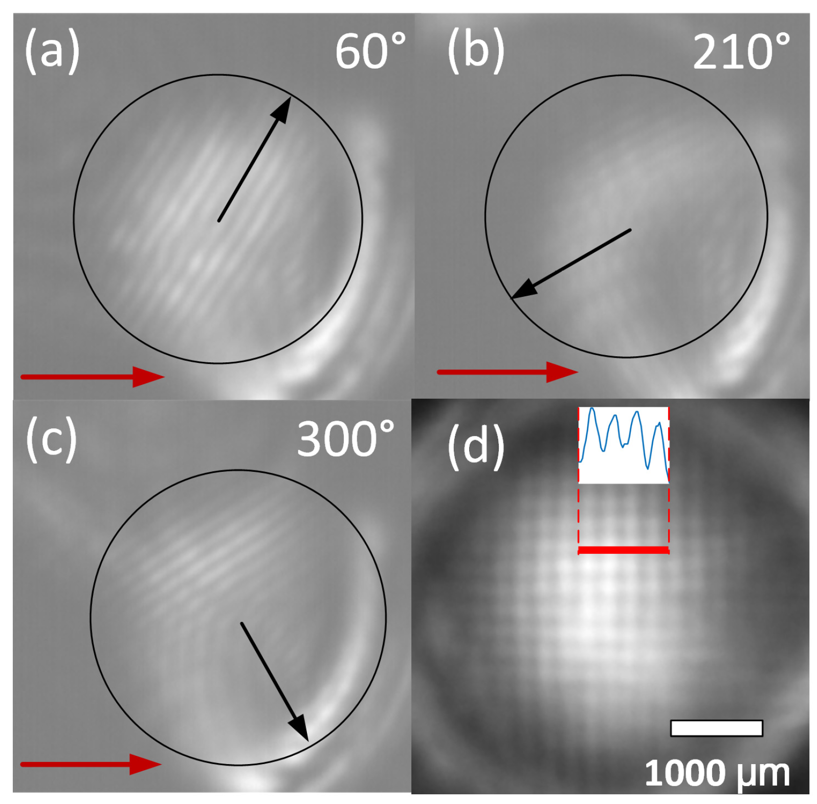 Applsci 13 00982 g006