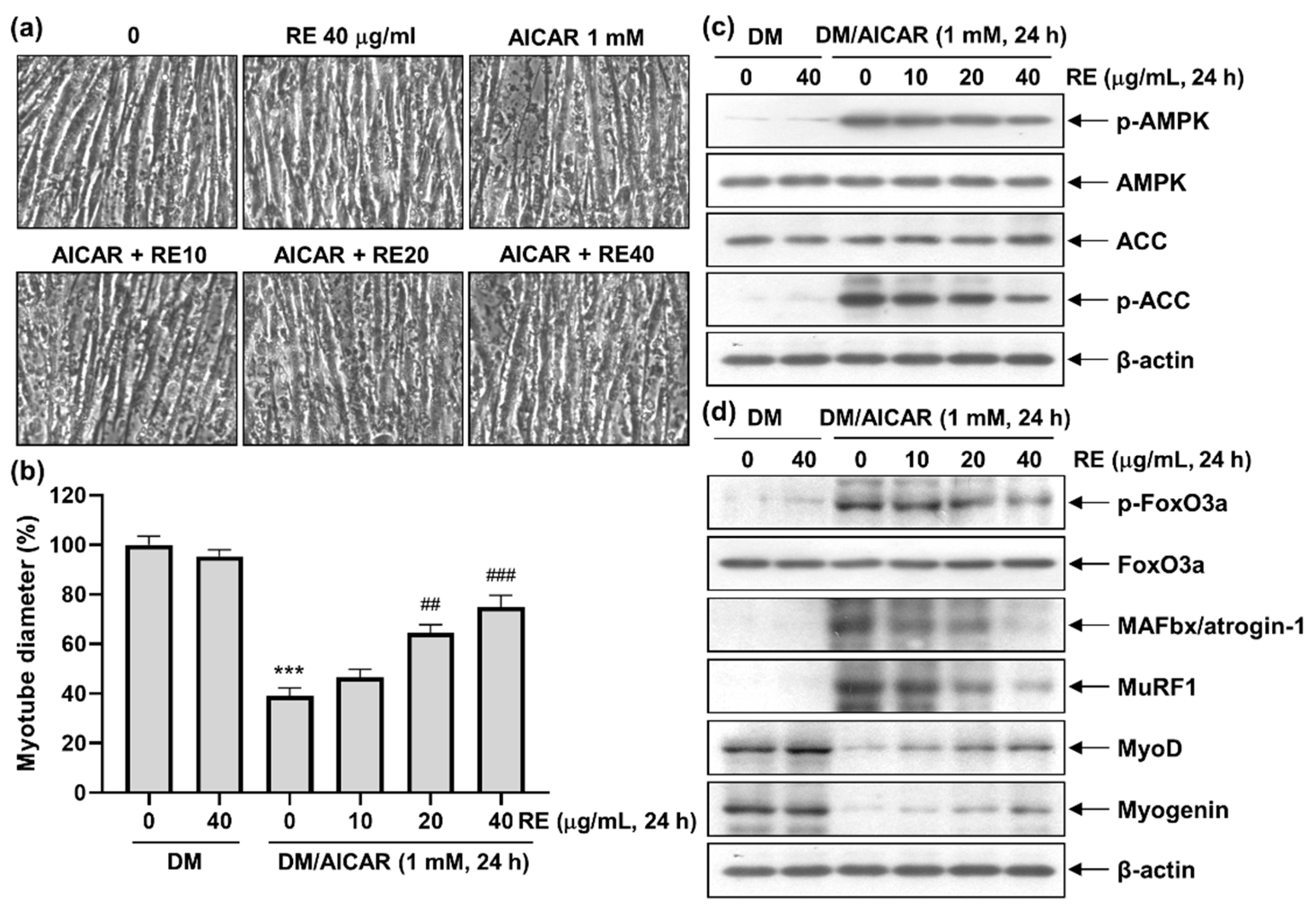 Applsci 13 00986 g005