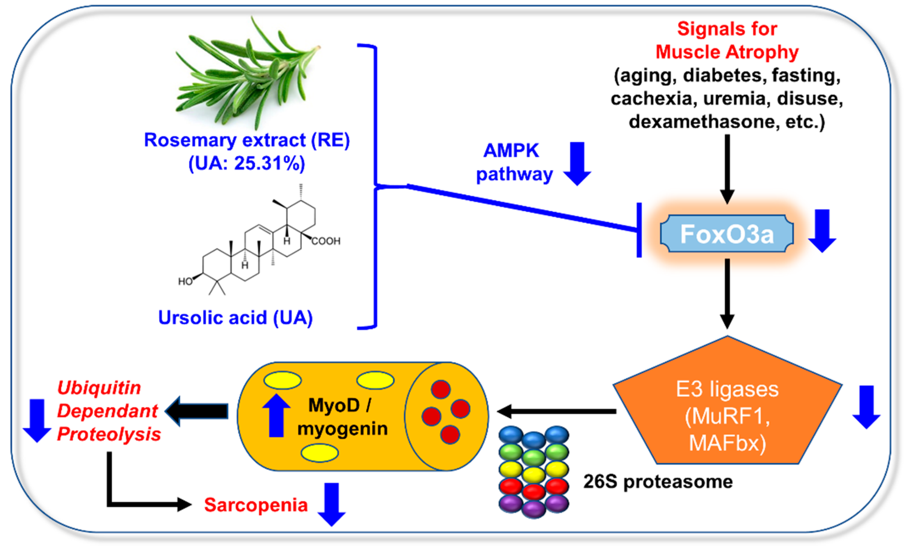 Applsci 13 00986 g006