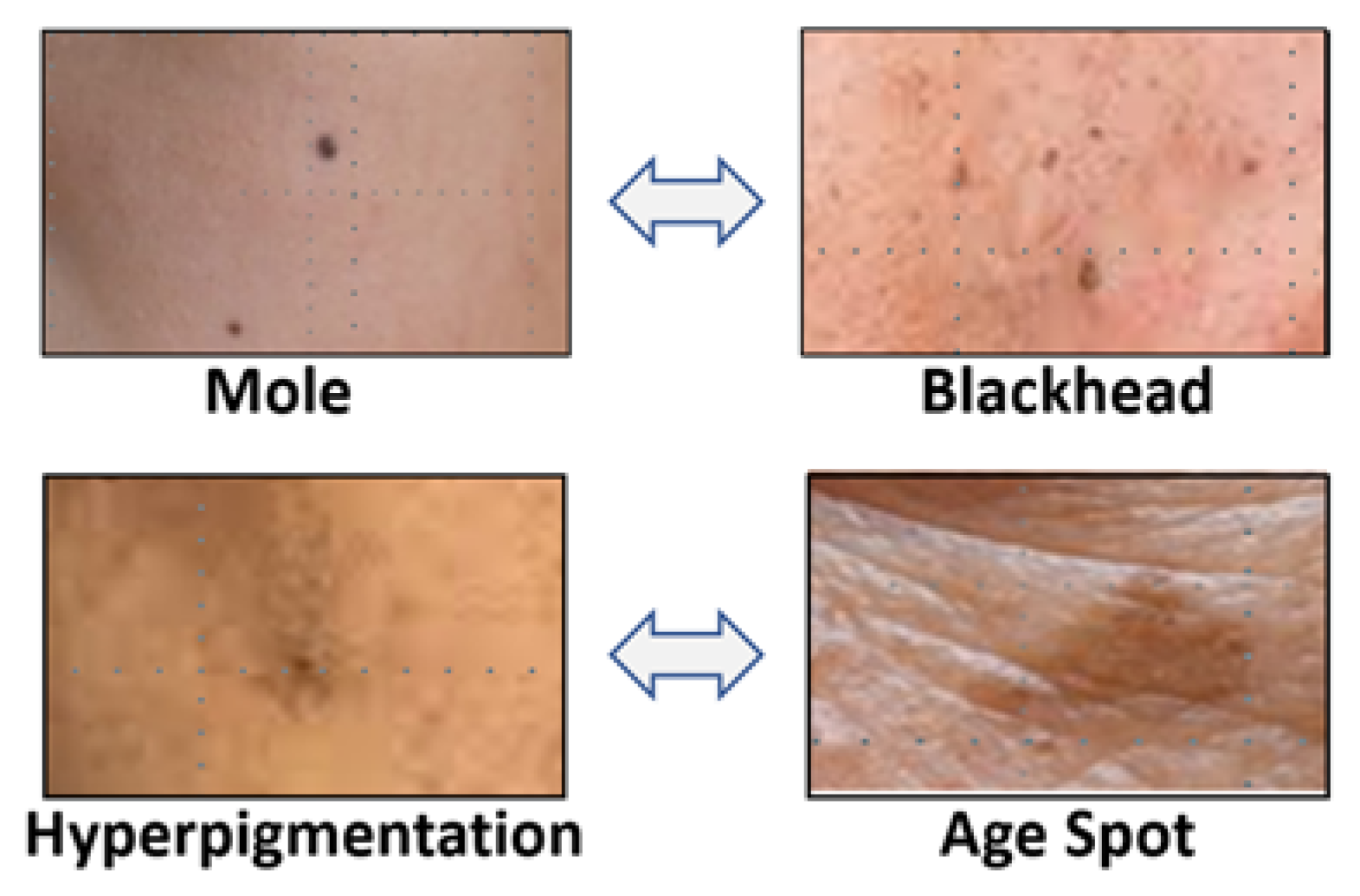 Applsci 13 00989 g003