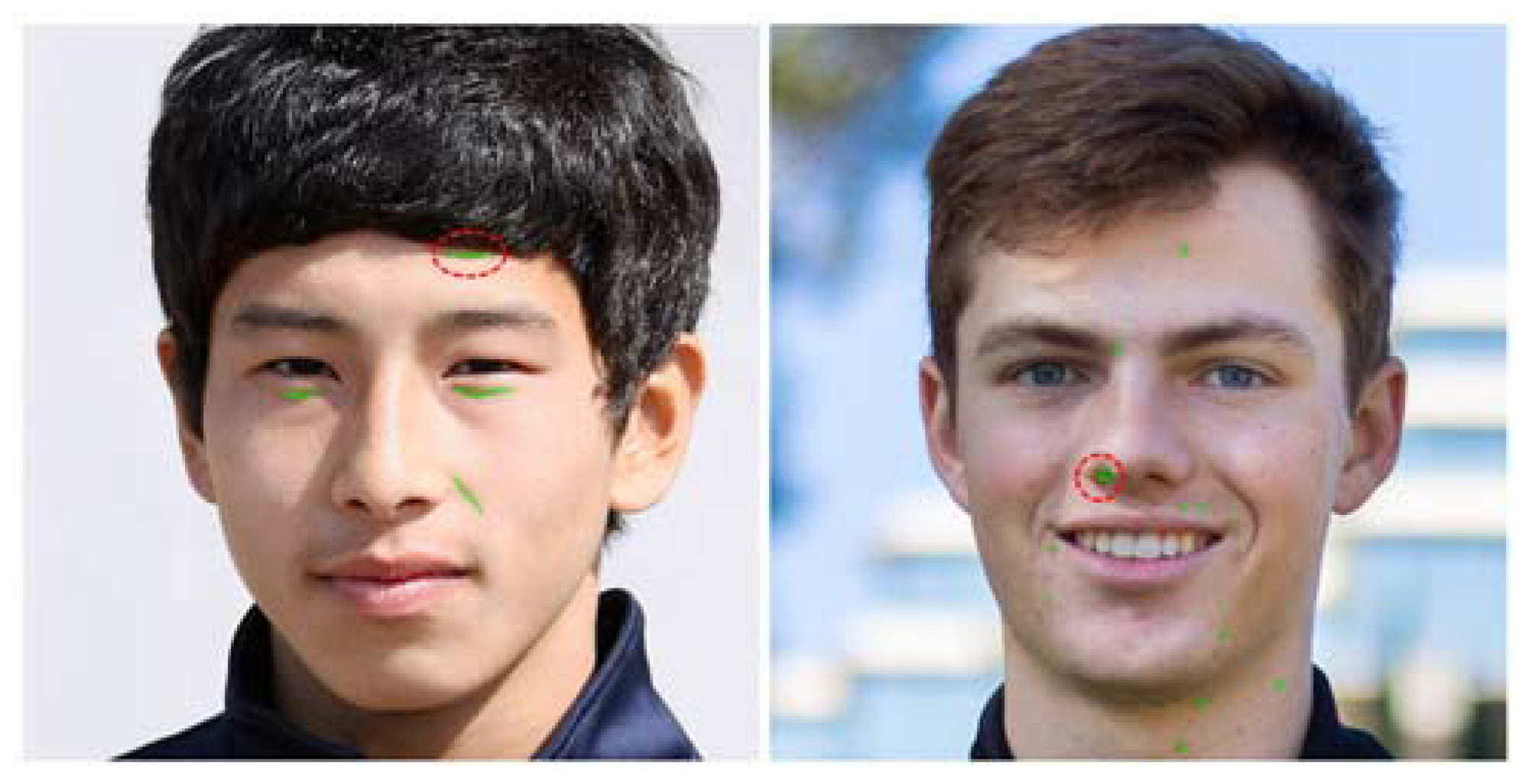 Applsci 13 00989 g004