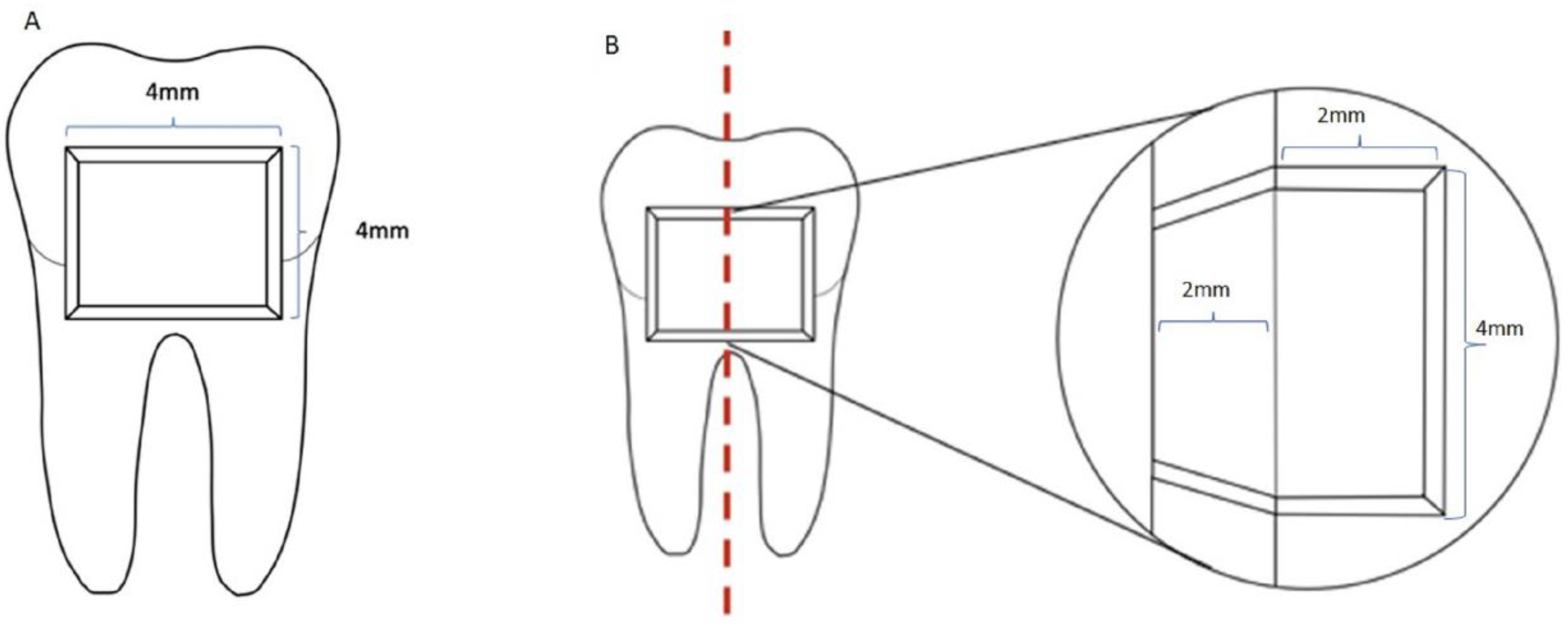 Applsci 13 00991 g001