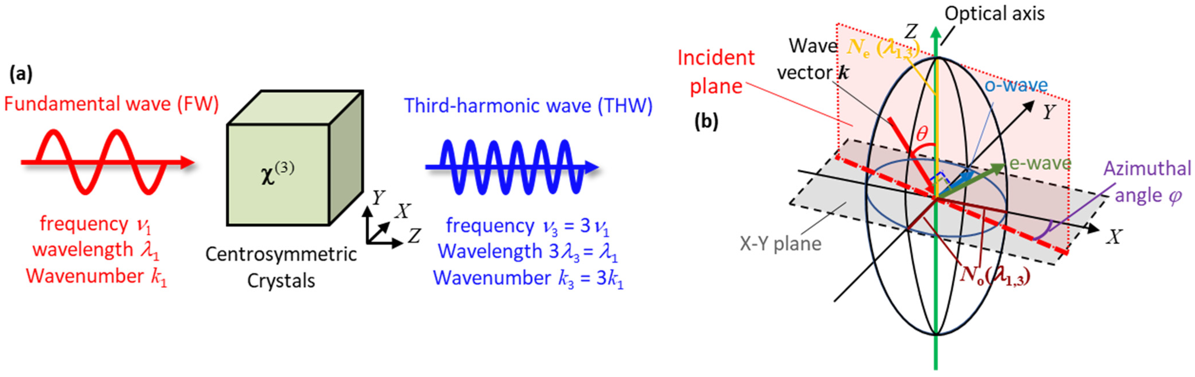 Applsci 13 00996 g001